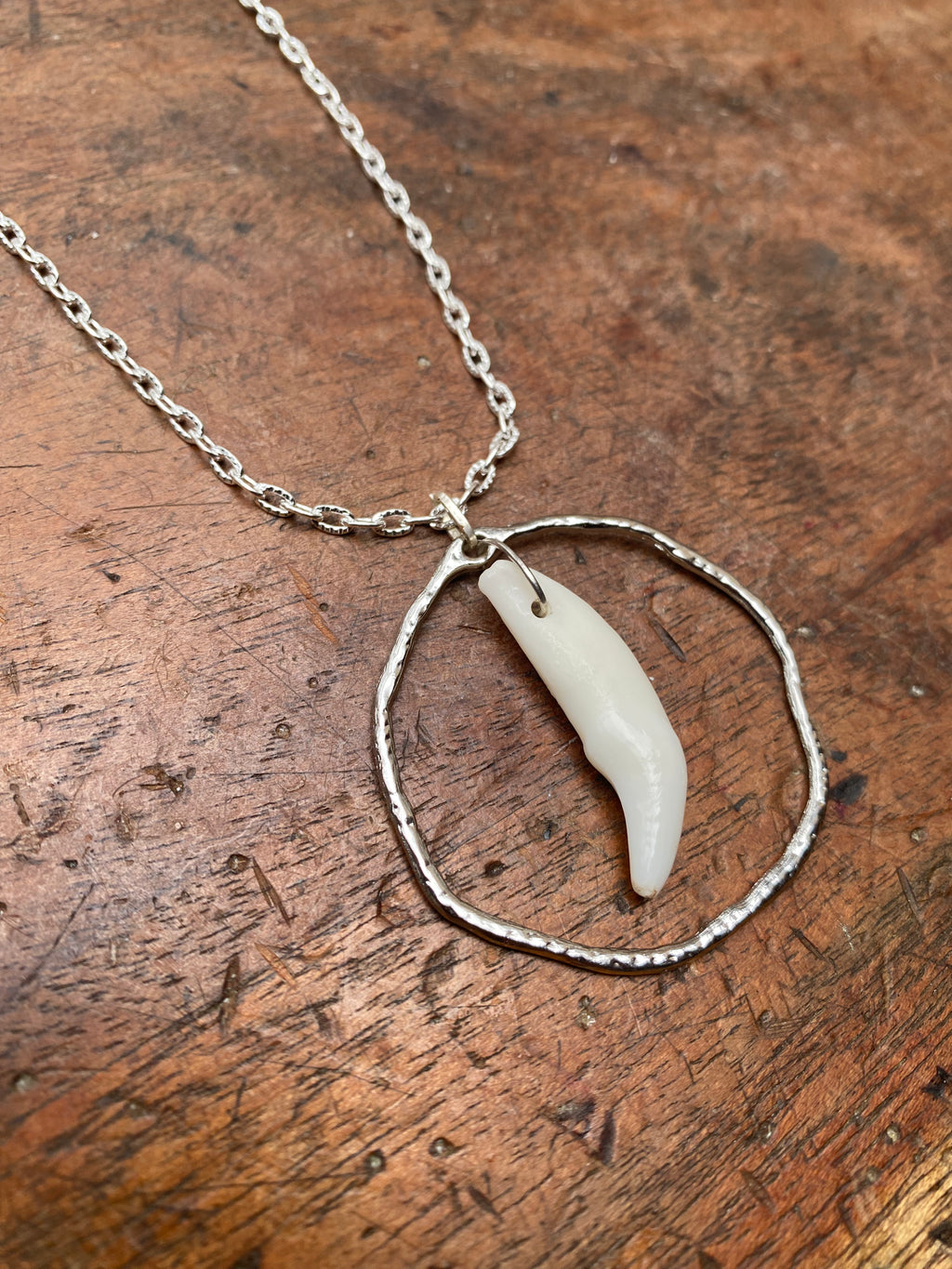 Coyote Tooth in Circle Neckace