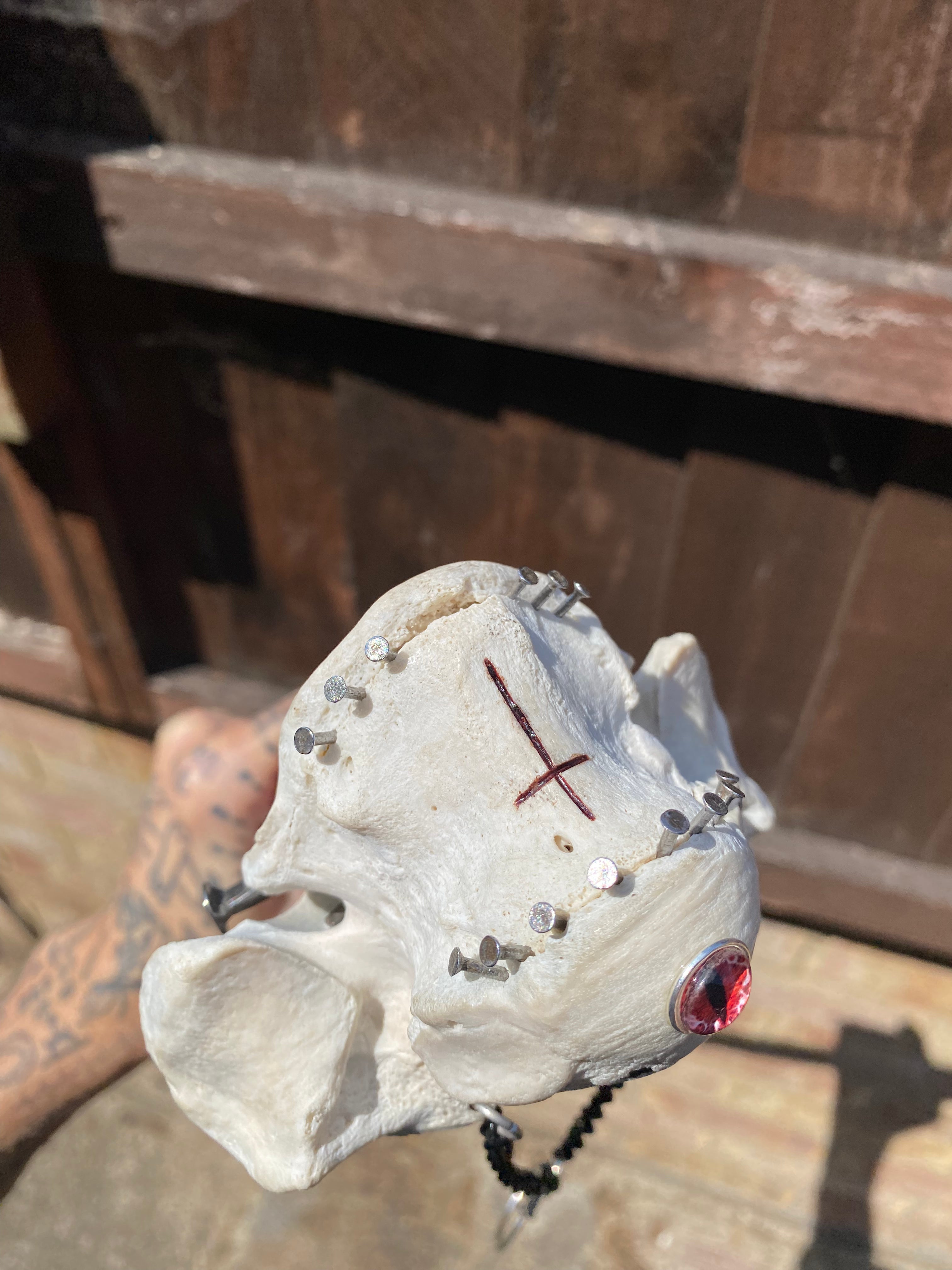 Large Vertebrae Sword with Lanternfly Taxidermy, Coffin Nails and Blood Engraving