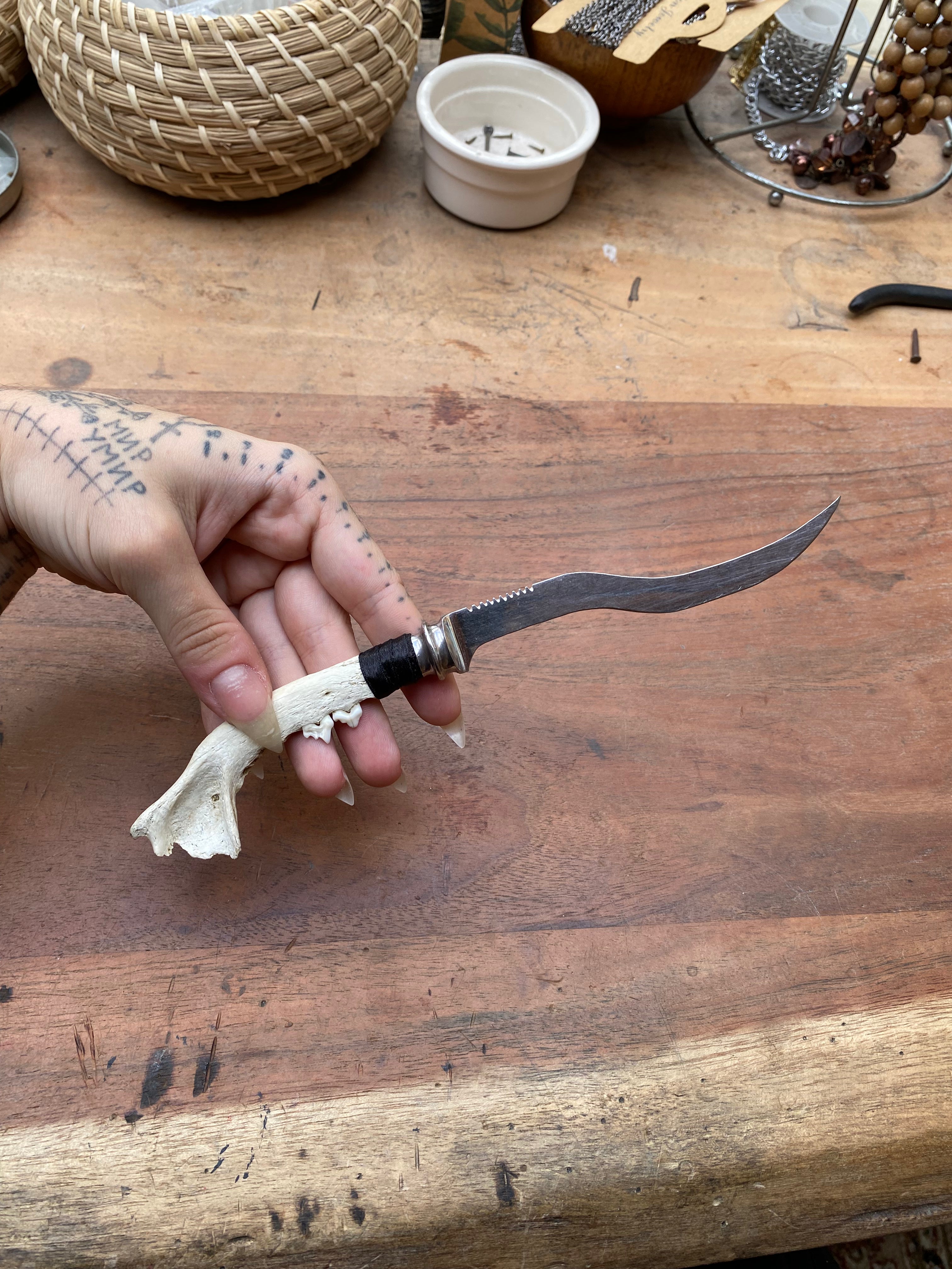 Small Fox Jaw Curved Dagger