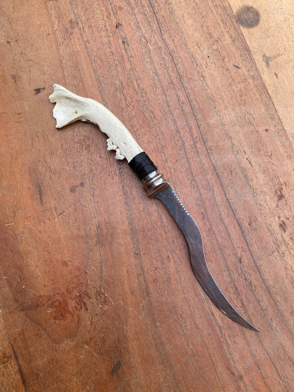 Small Fox Jaw Curved Dagger