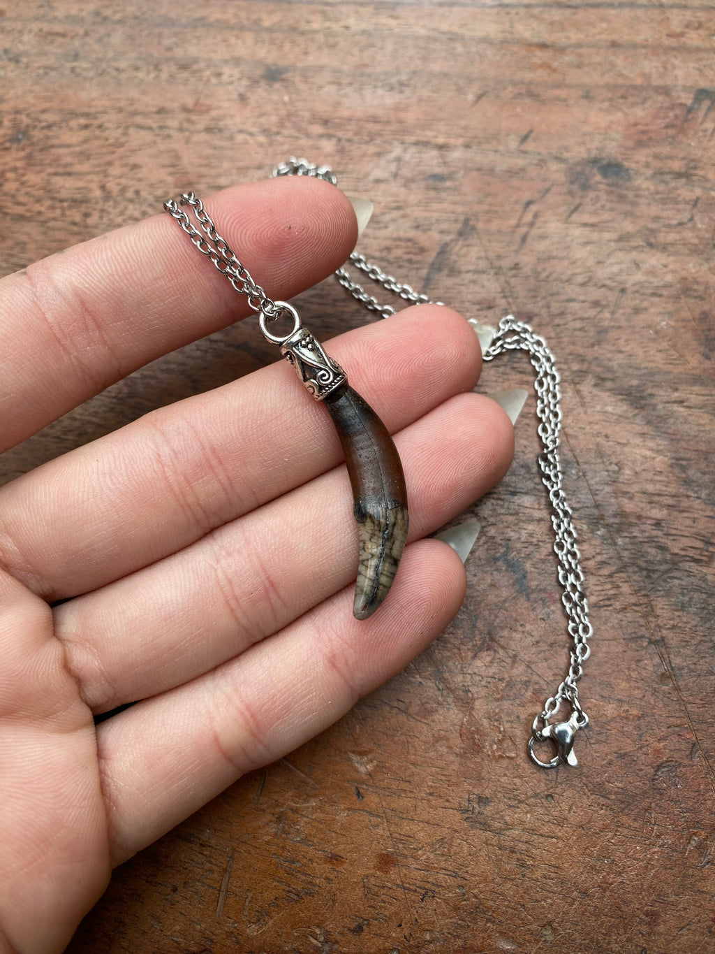 Fossilised Fox Tooth Necklace