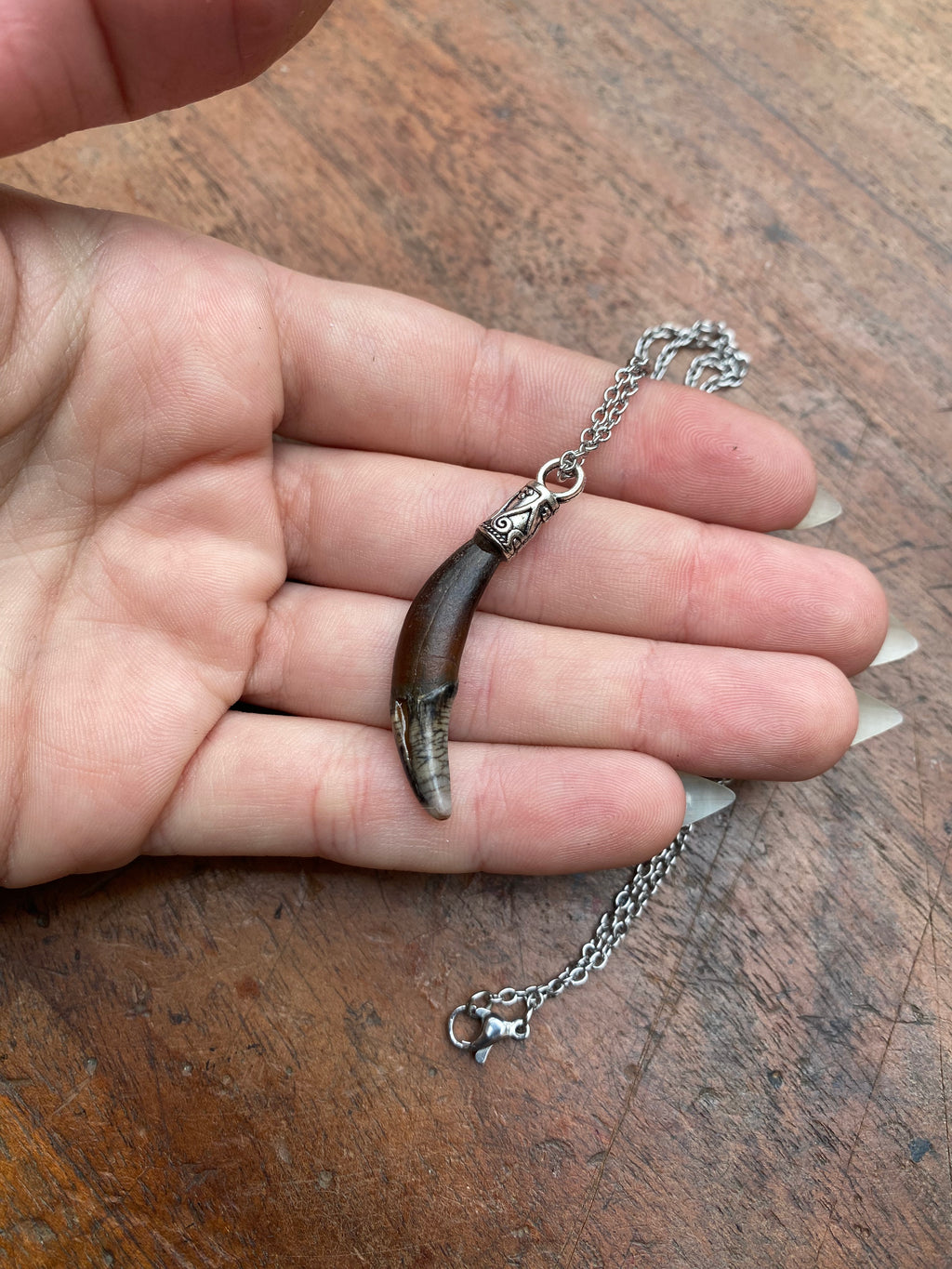 Fossilised Fox Tooth Necklace