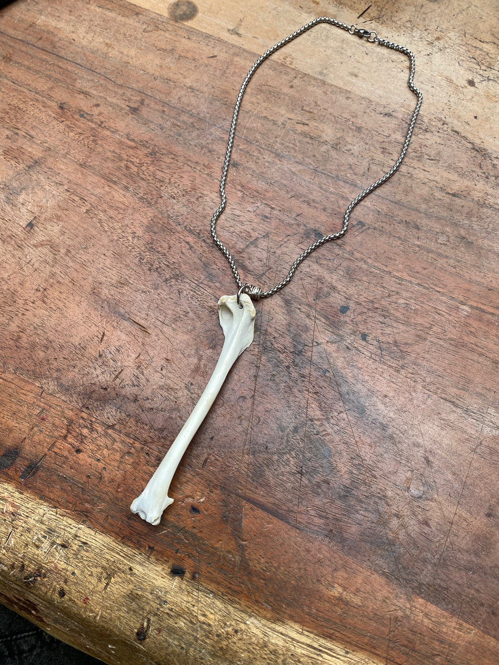Scavenged Bone Necklace