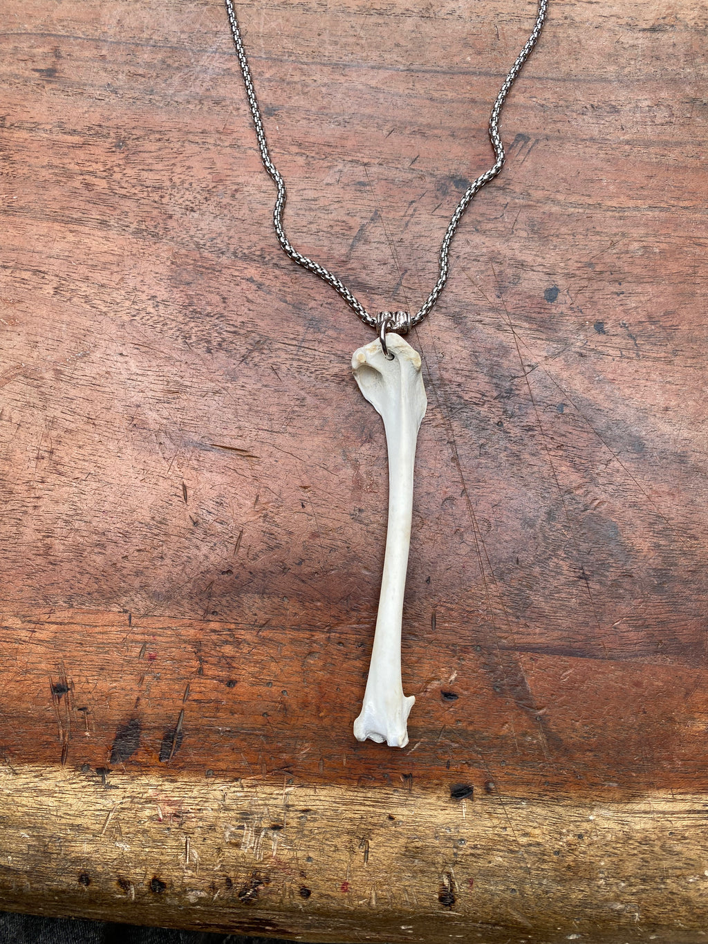 Scavenged Bone Necklace