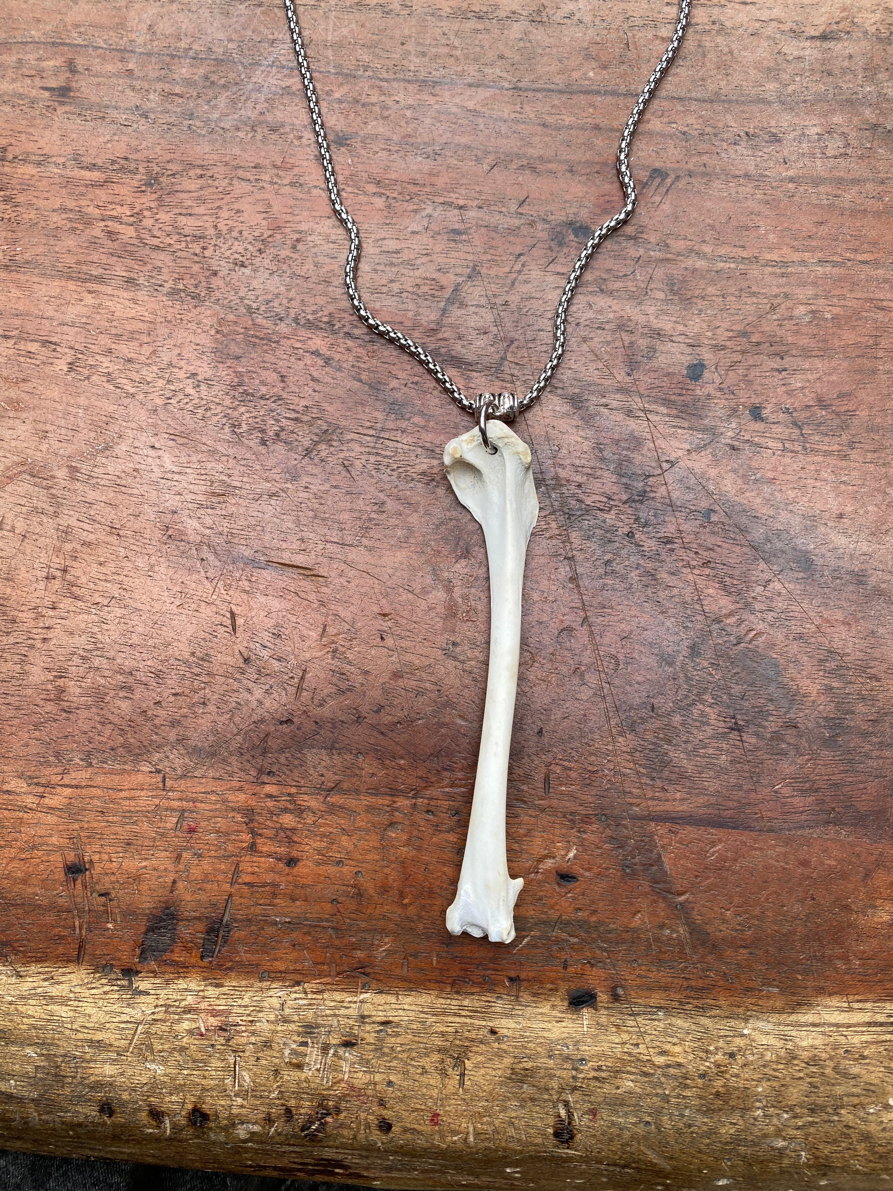 Scavenged Bone Necklace