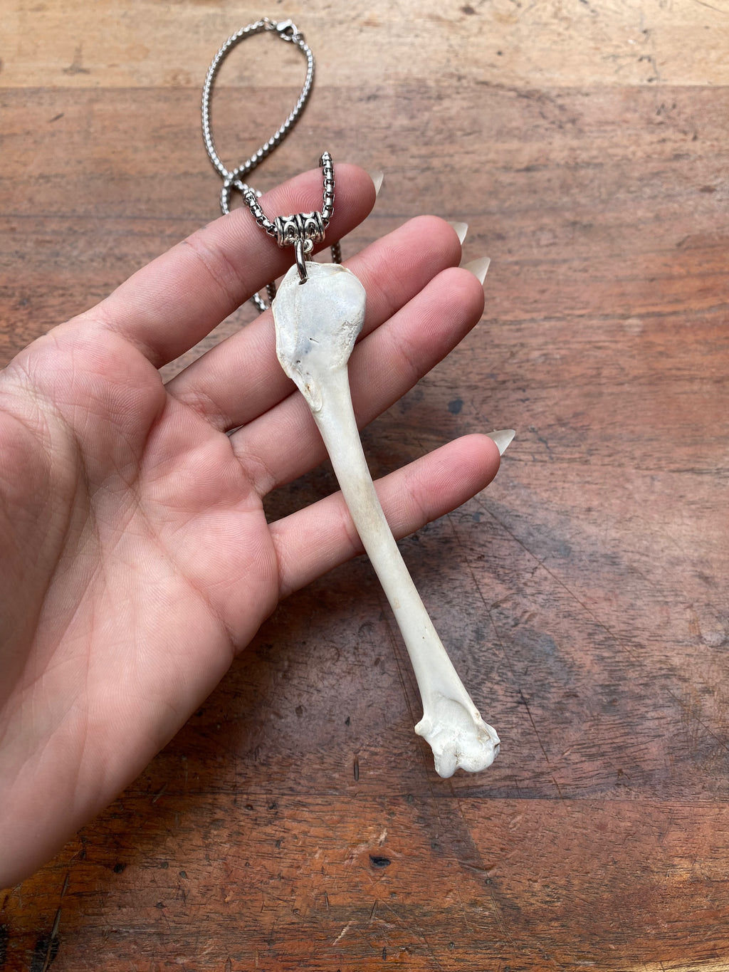 Scavenged Bone Necklace