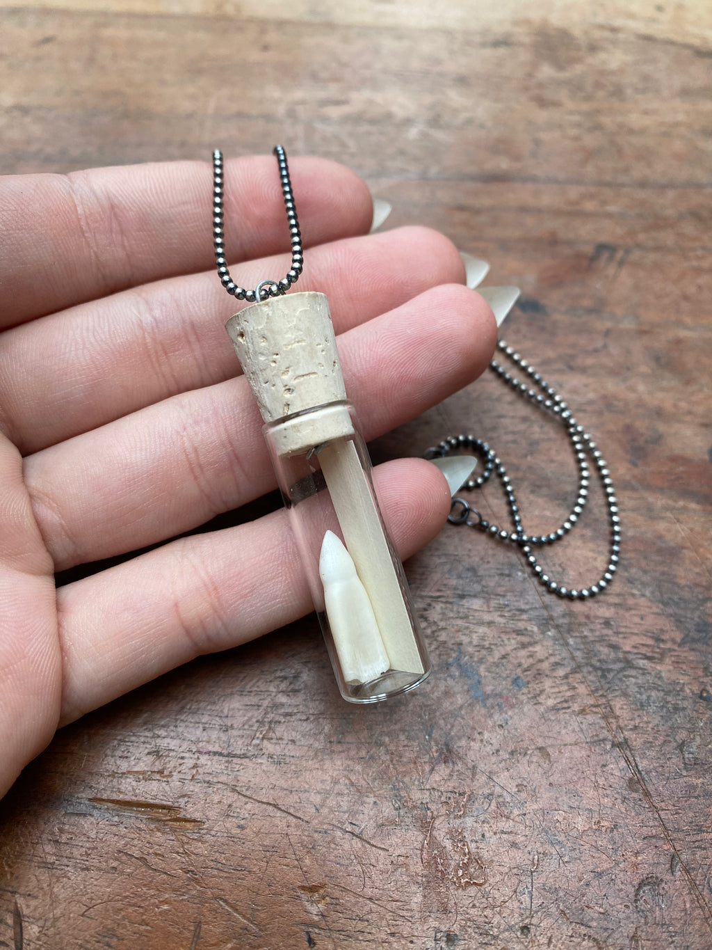 Alligator Tooth in Glass Vial Necklace