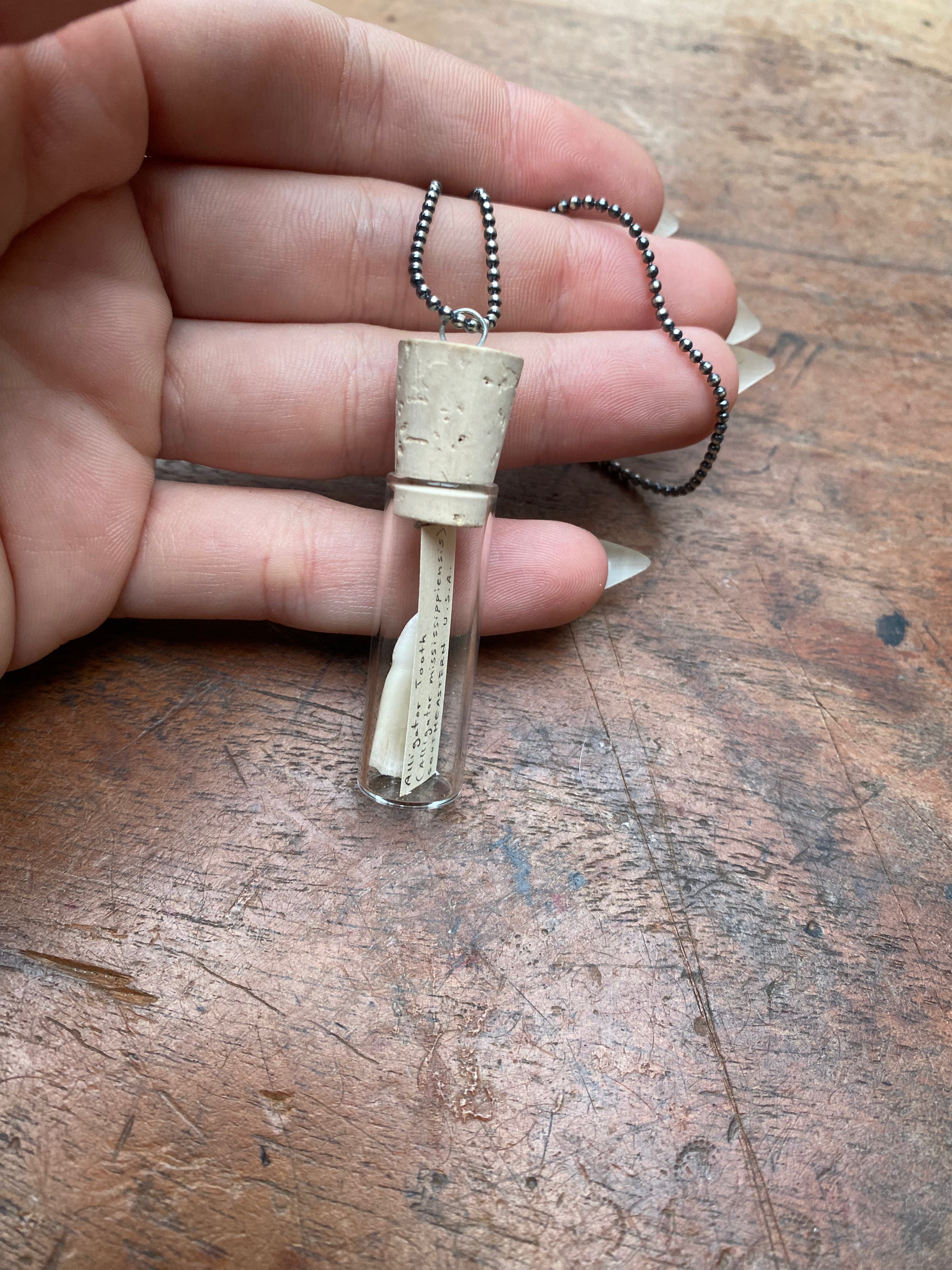 Alligator Tooth in Glass Vial Necklace