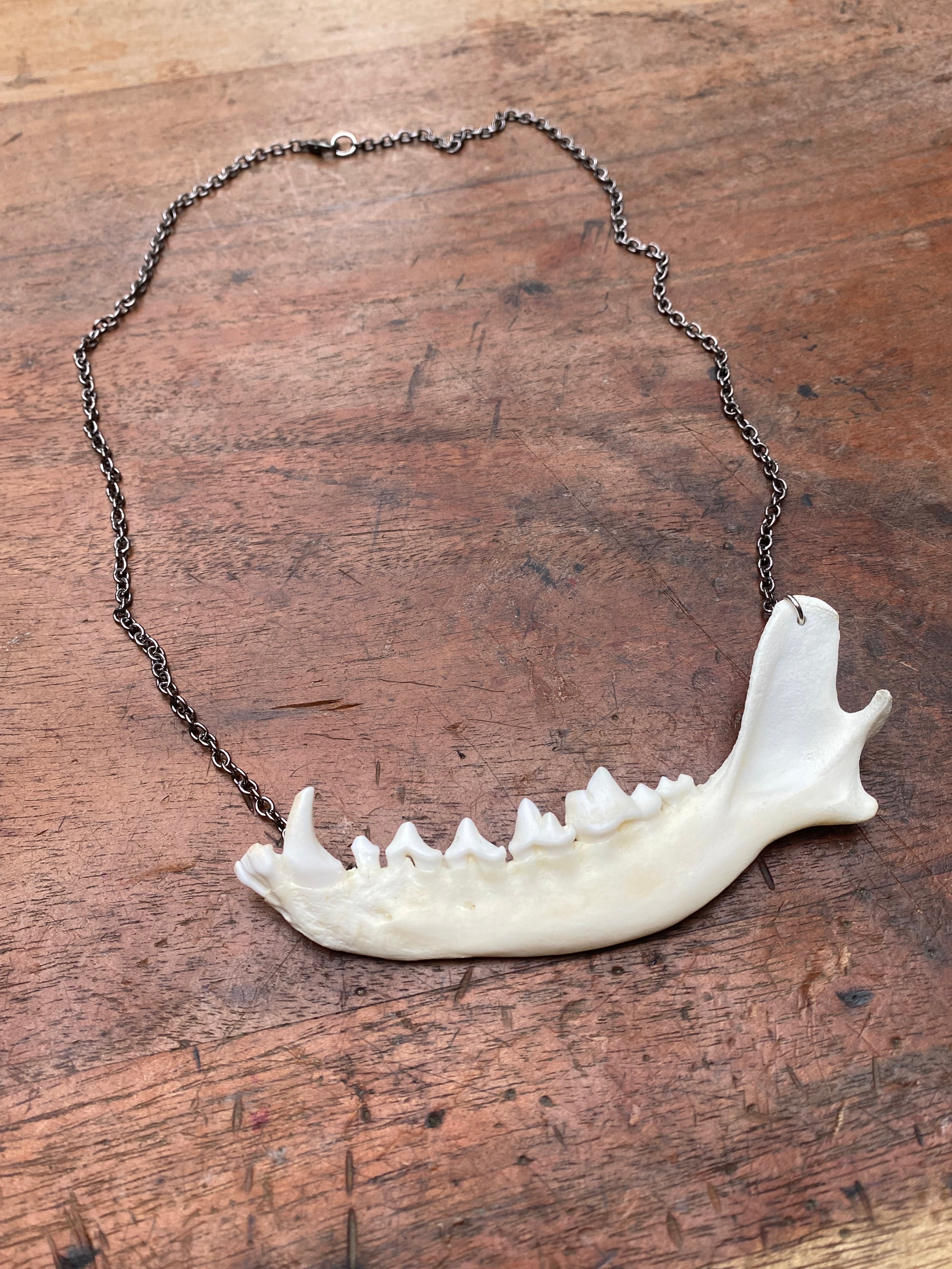 Fox Jaw with Gunmetal Chain Necklace