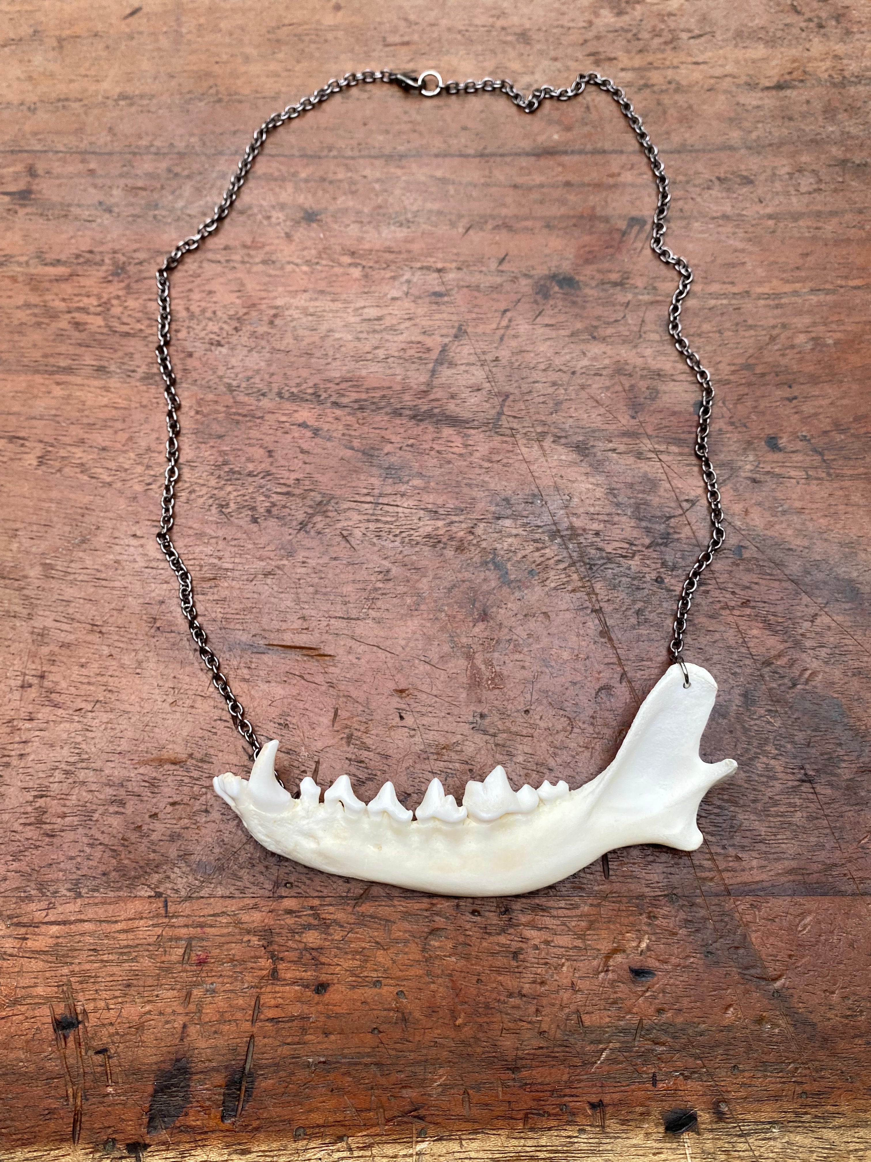 Fox Jaw with Gunmetal Chain Necklace