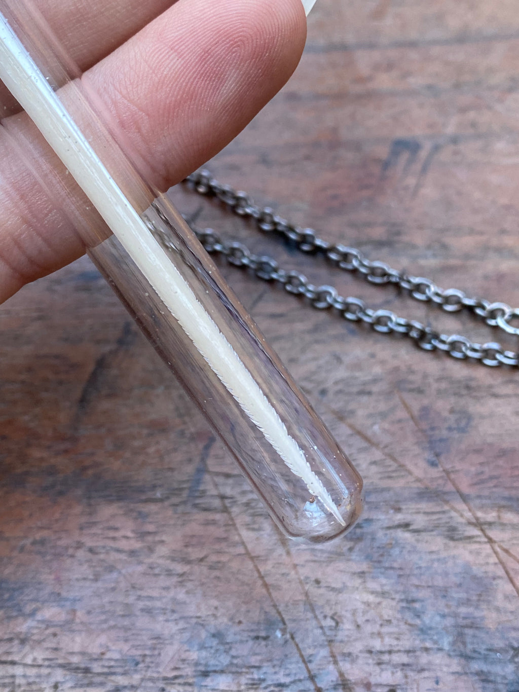 Stingray Stinger in Glass Vial Necklace