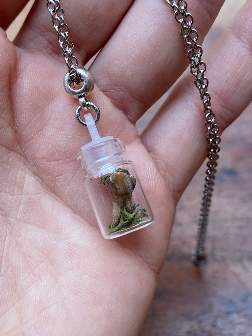 Tiny Deer Tooth and Moss in Glass Vial Necklace
