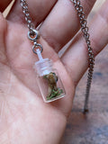 Tiny Deer Tooth and Moss in Glass Vial Necklace