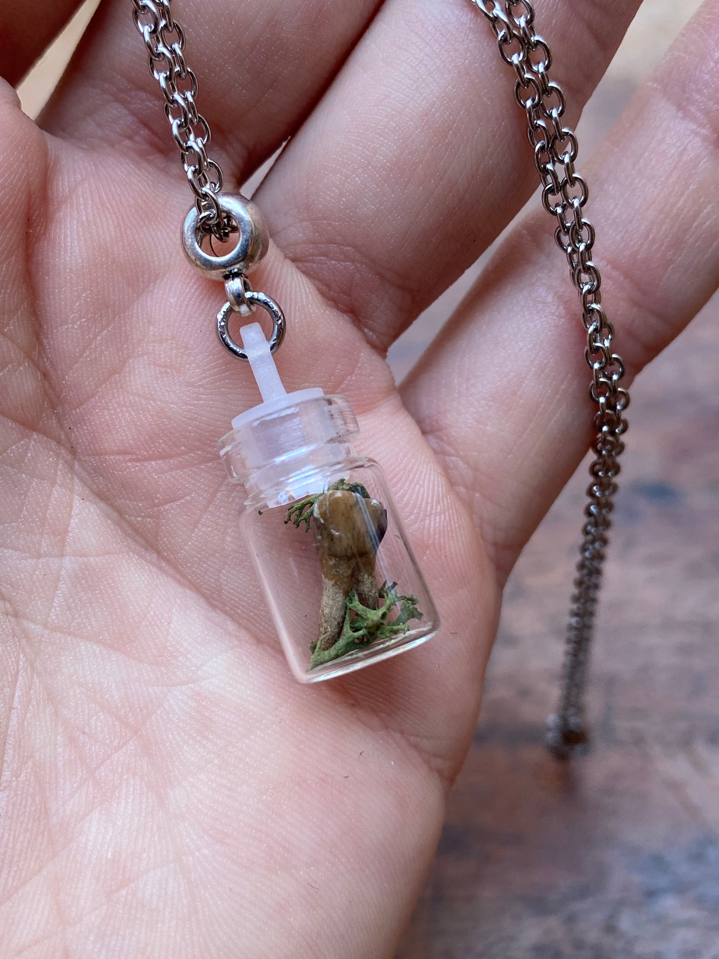 Tiny Deer Tooth and Moss in Glass Vial Necklace