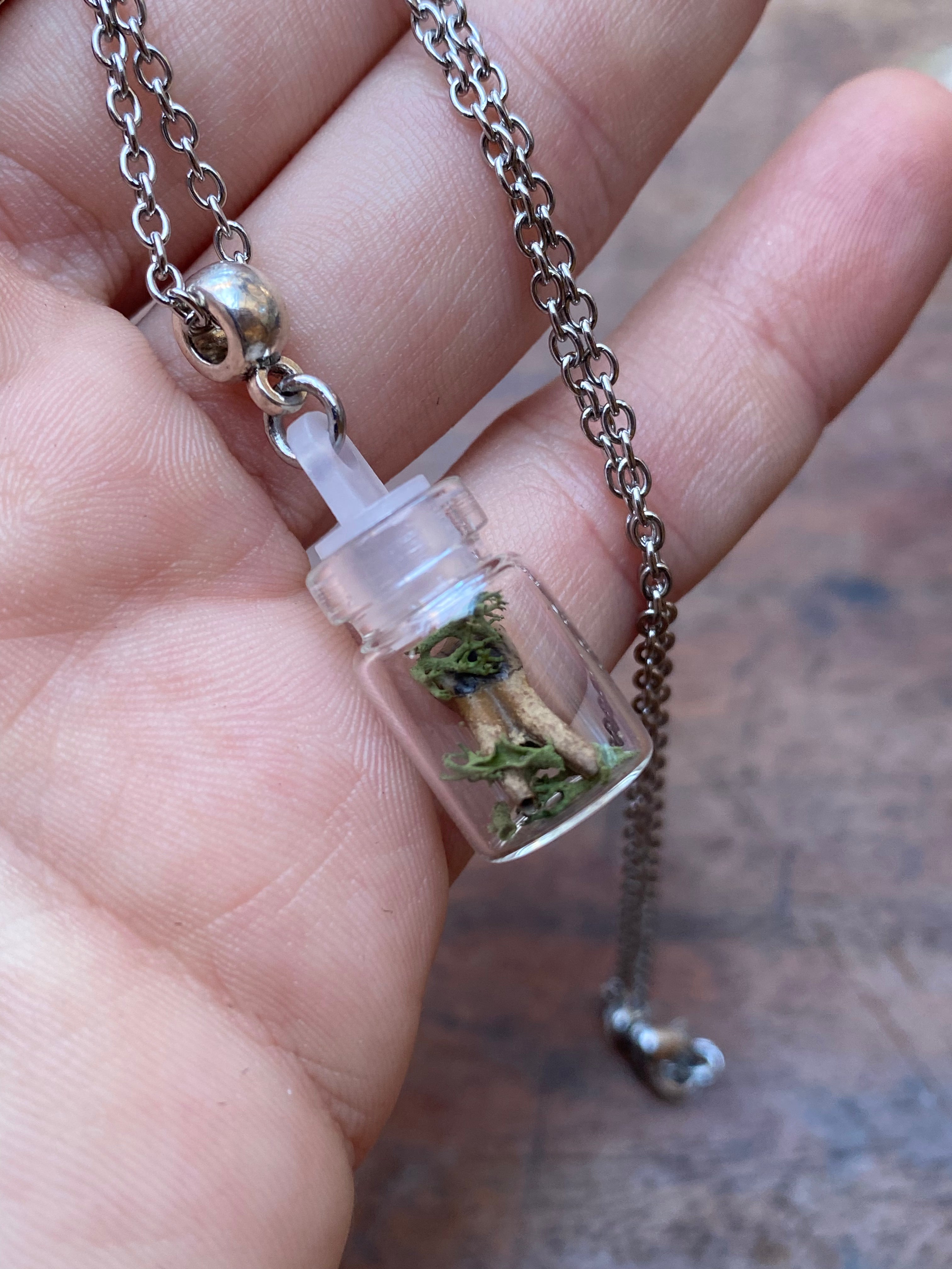 Tiny Deer Tooth and Moss in Glass Vial Necklace