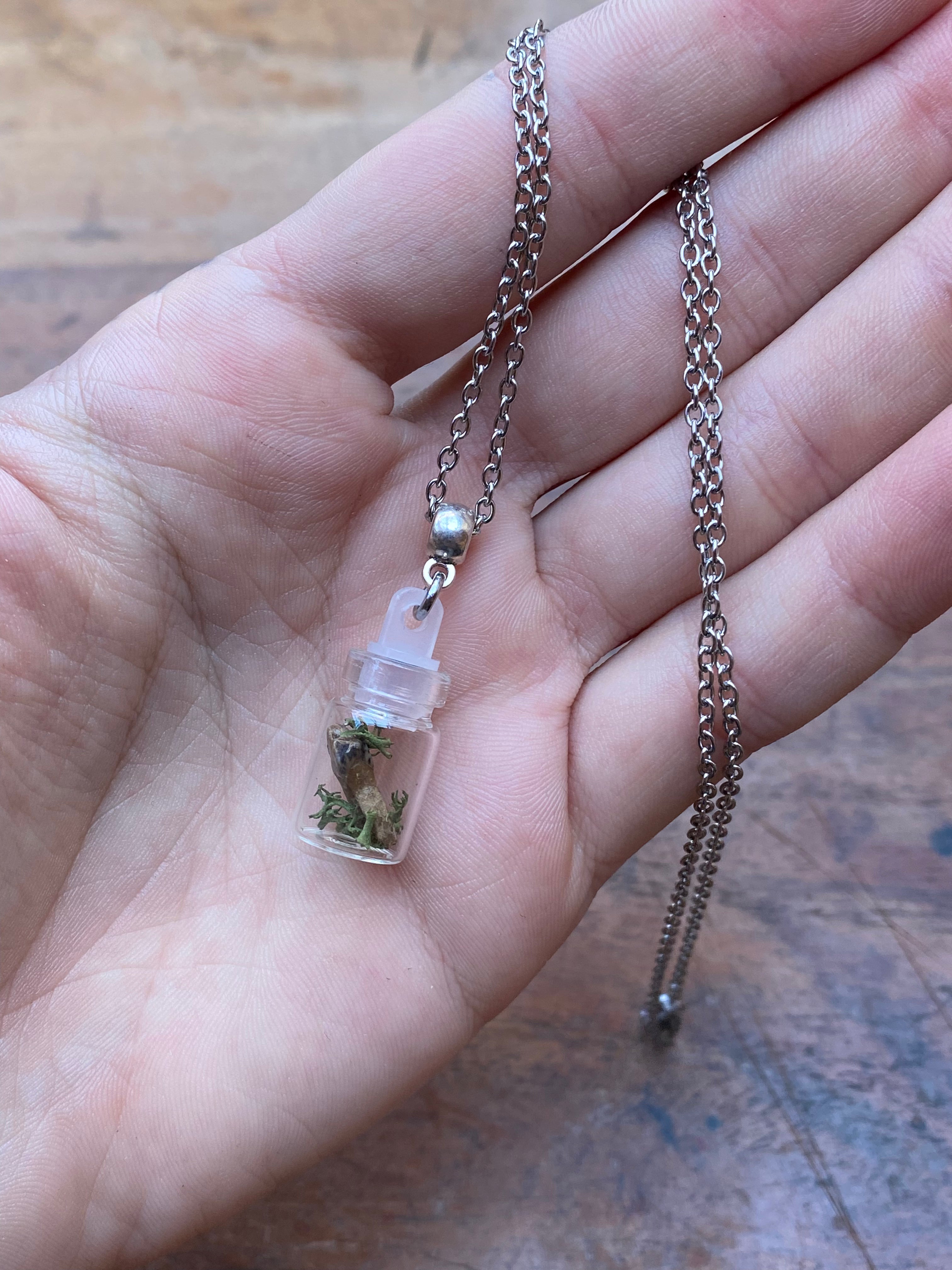 Tiny Deer Tooth and Moss in Glass Vial Necklace