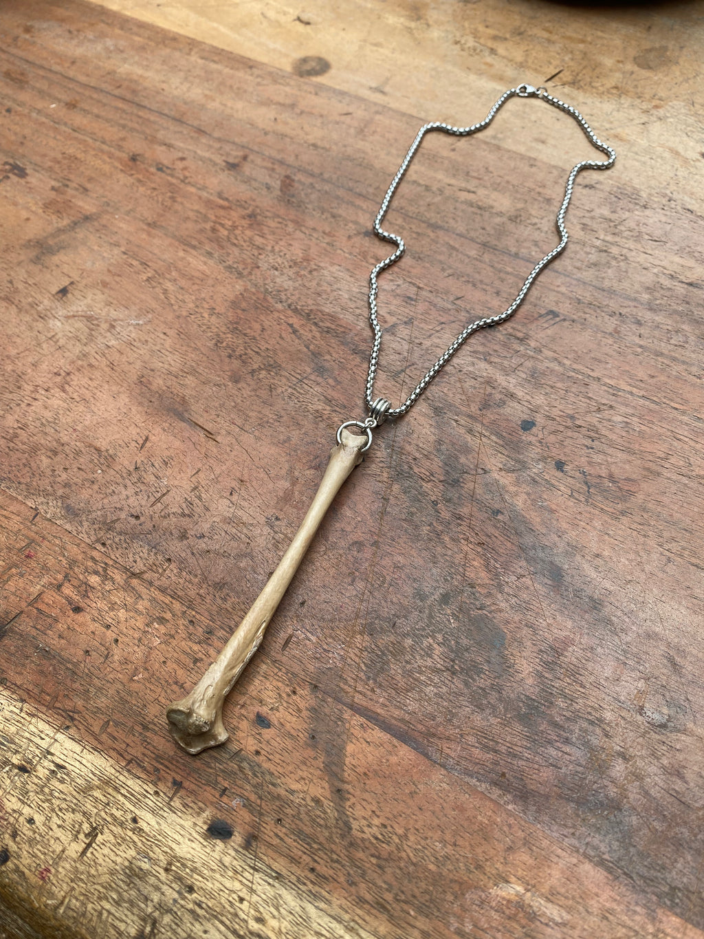Mudlarked Bone on a Chain Necklace
