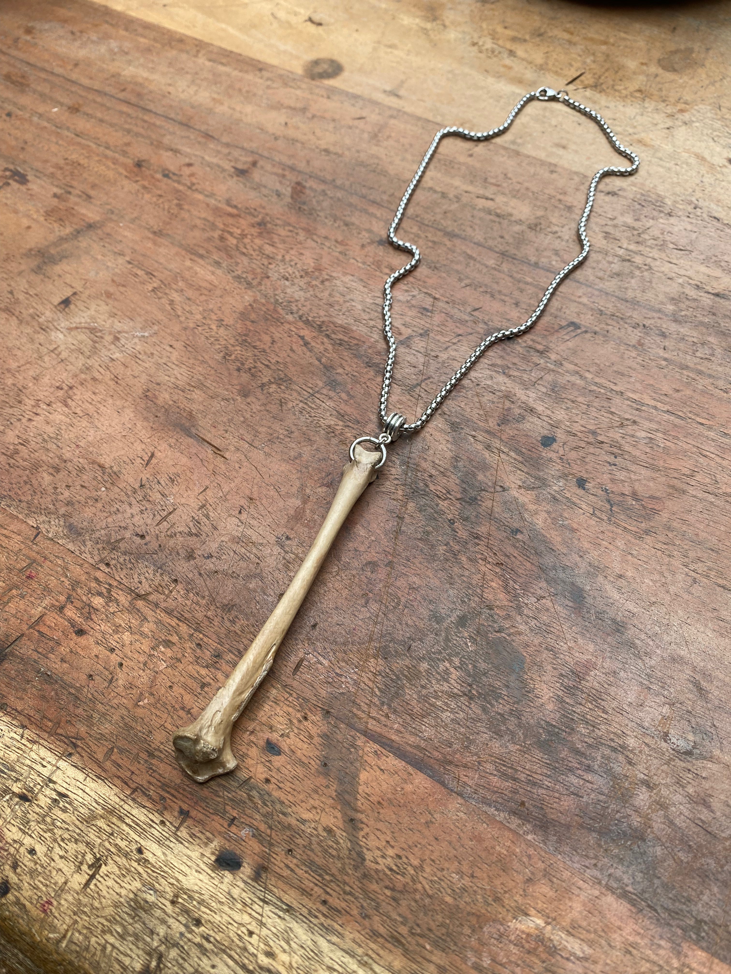 Mudlarked Bone on a Chain Necklace