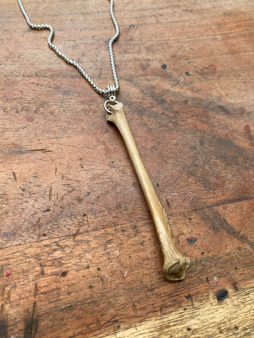 Mudlarked Bone on a Chain Necklace