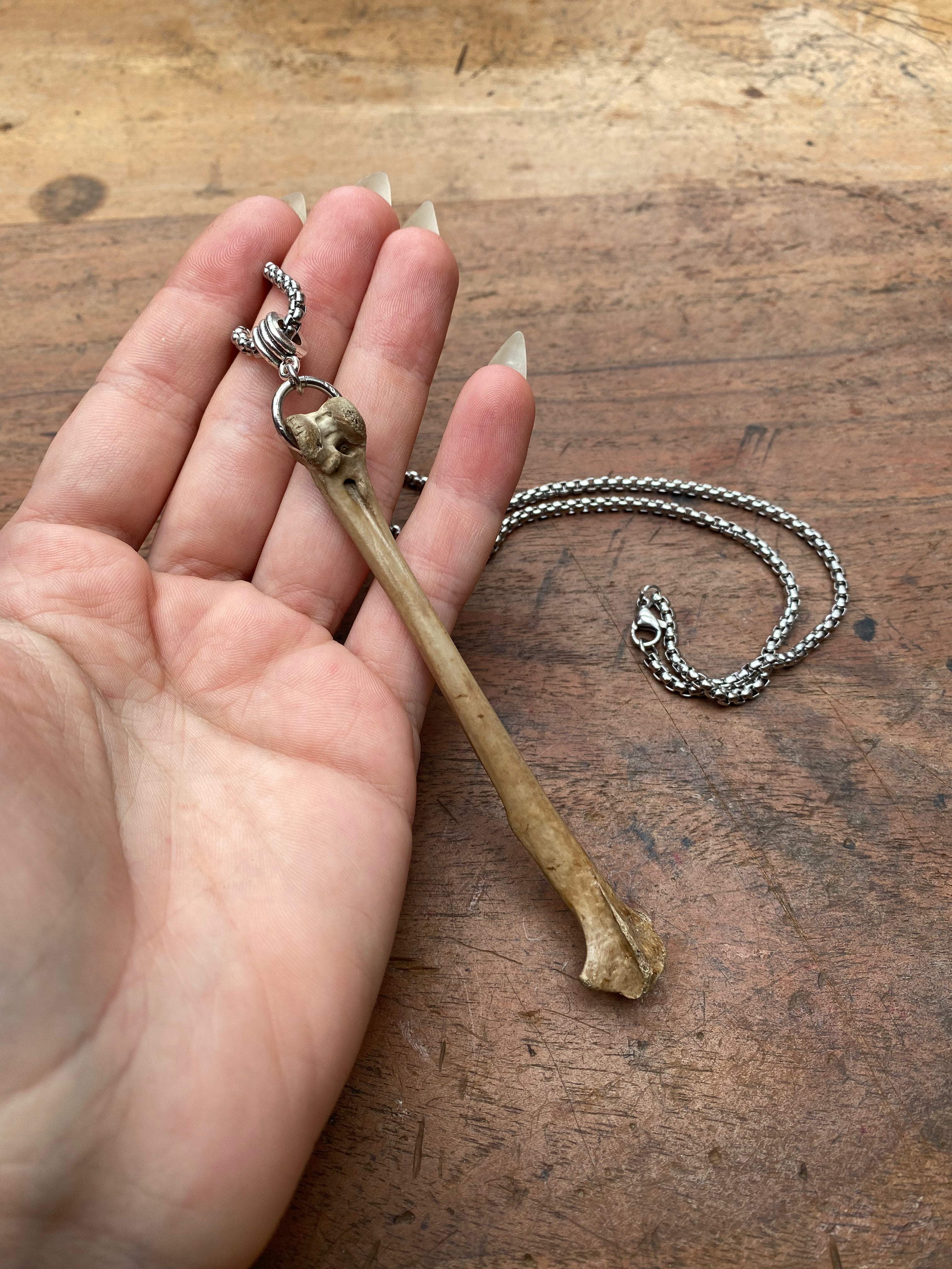Mudlarked Bone on a Chain Necklace