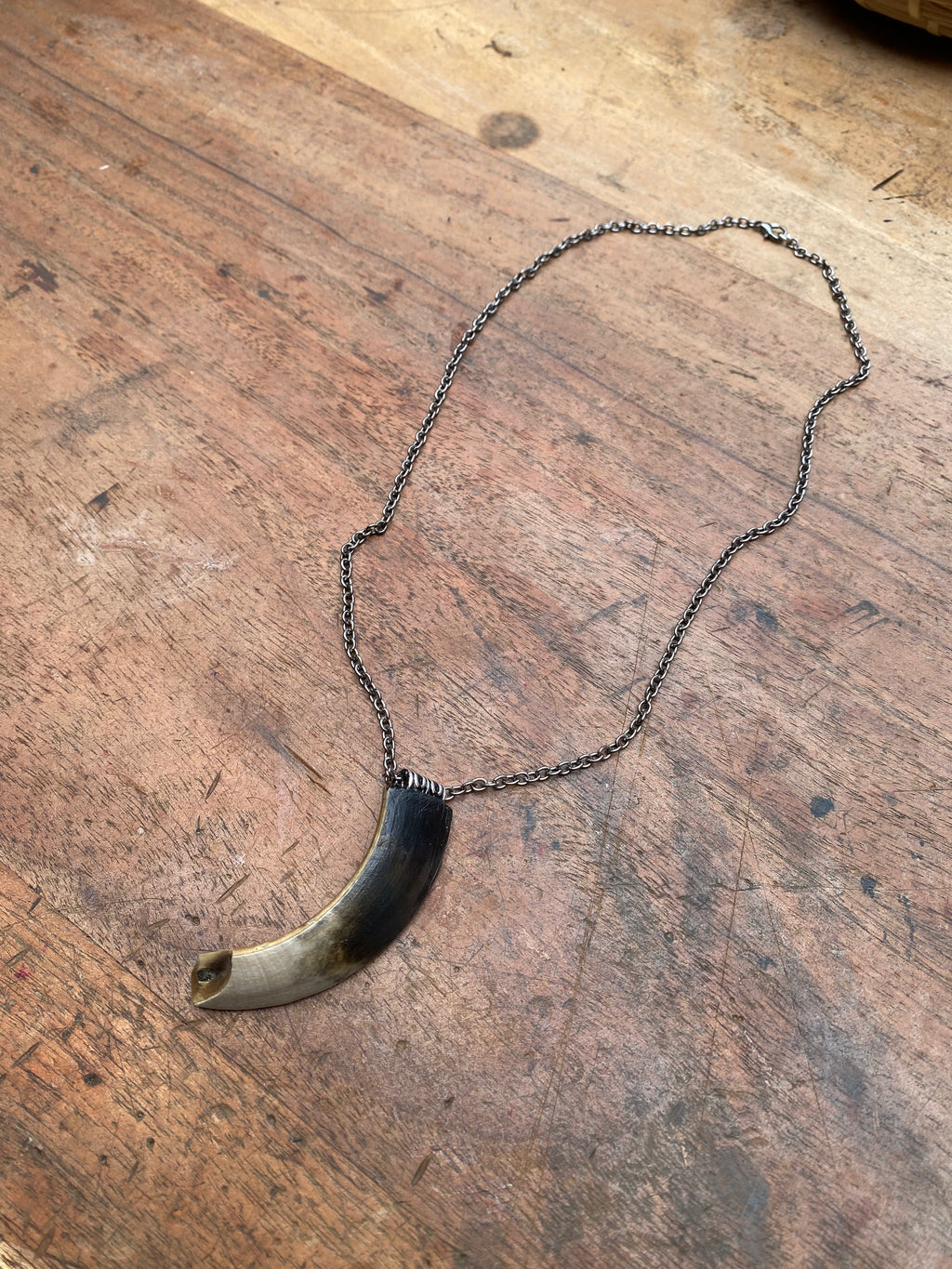 Mudlarked Wild Boar Tusk Necklace