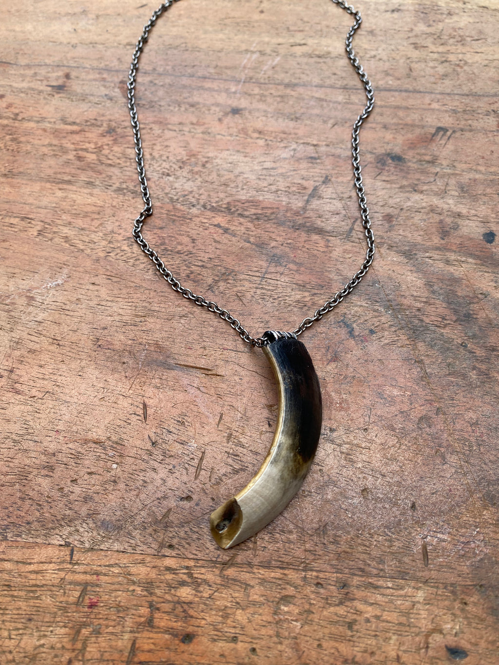 Mudlarked Wild Boar Tusk Necklace