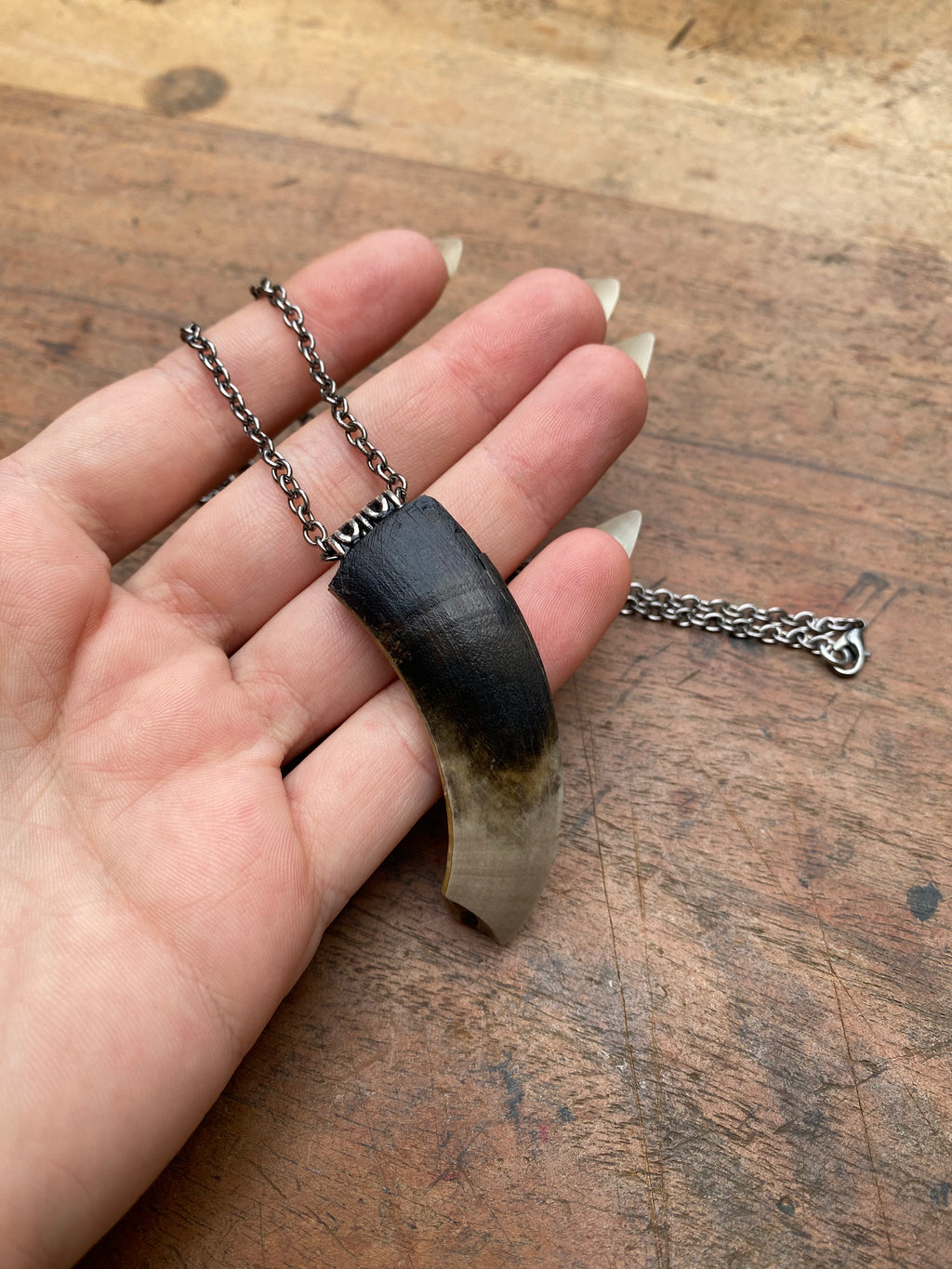 Mudlarked Wild Boar Tusk Necklace