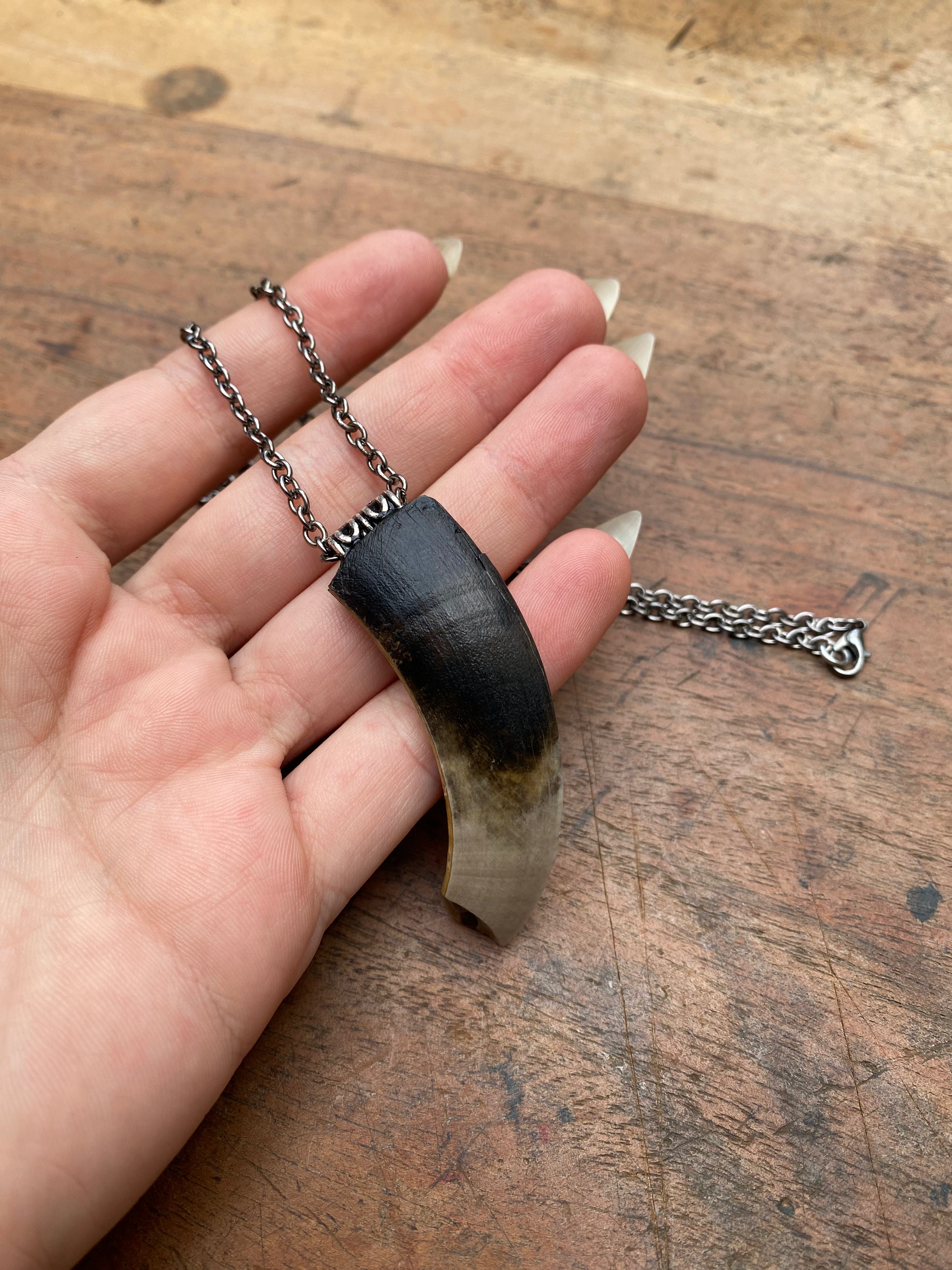 Mudlarked Wild Boar Tusk Necklace