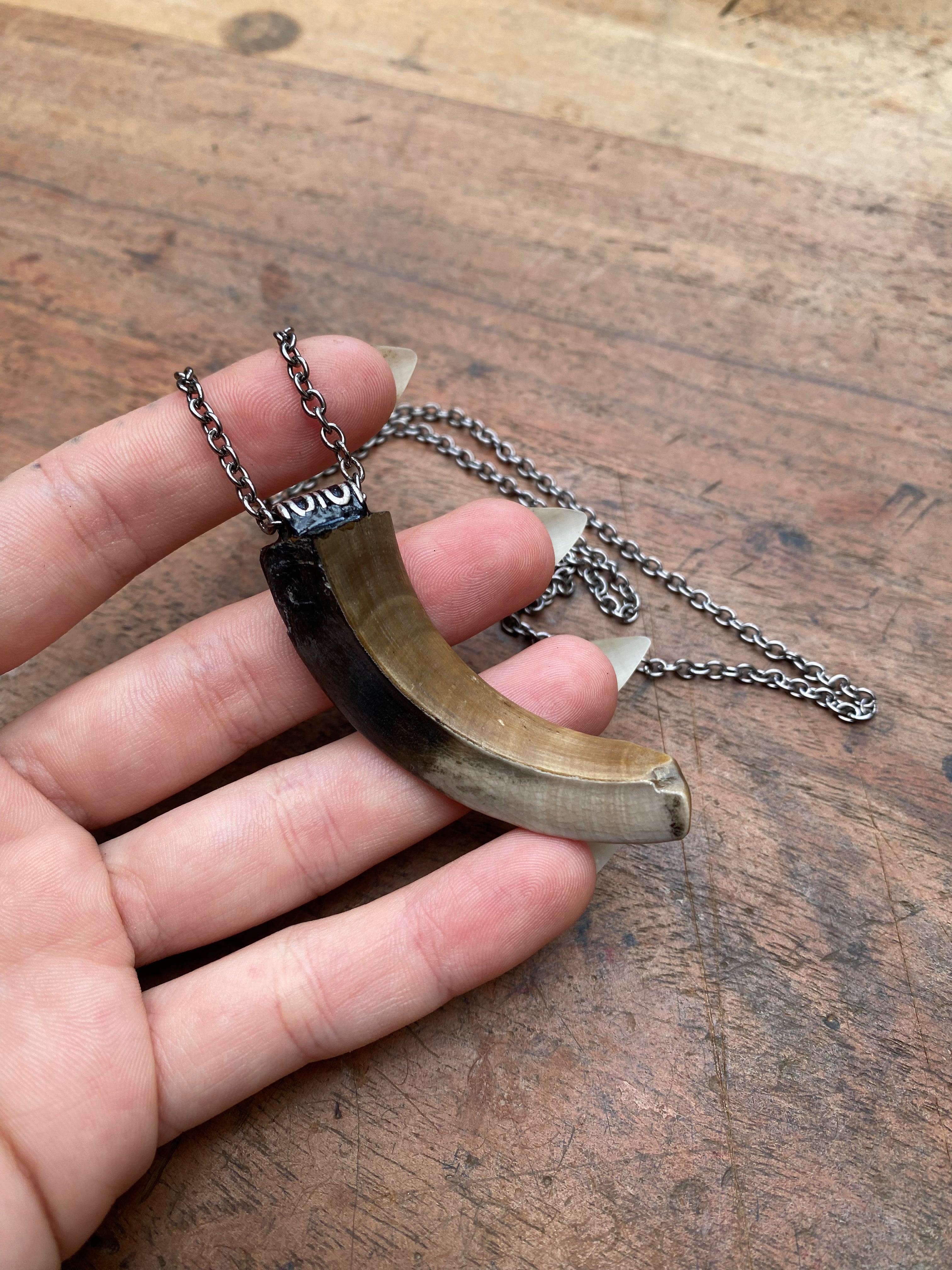 Mudlarked Wild Boar Tusk Necklace