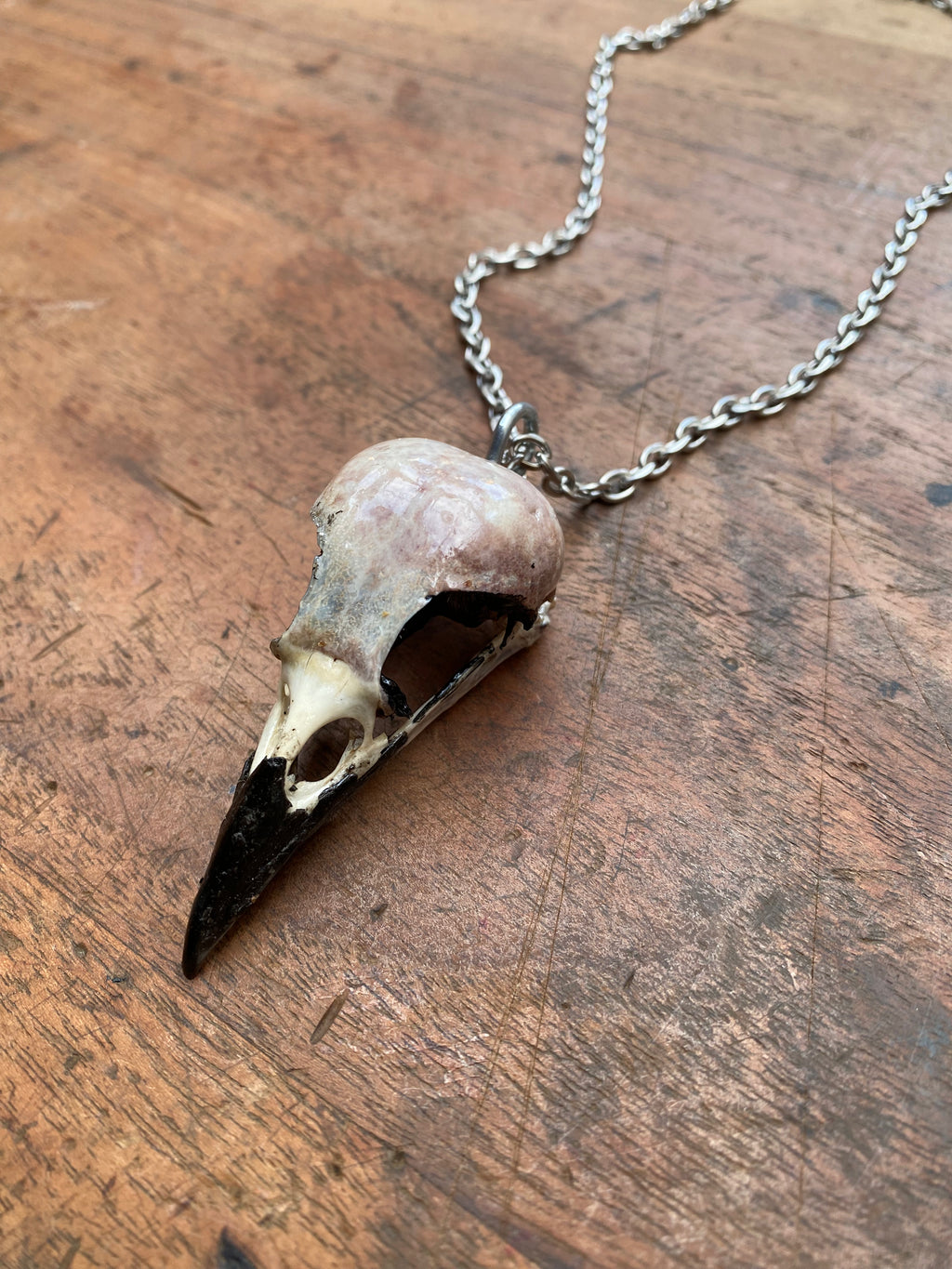 Crow Skull on Stainless Steel Chain Necklace