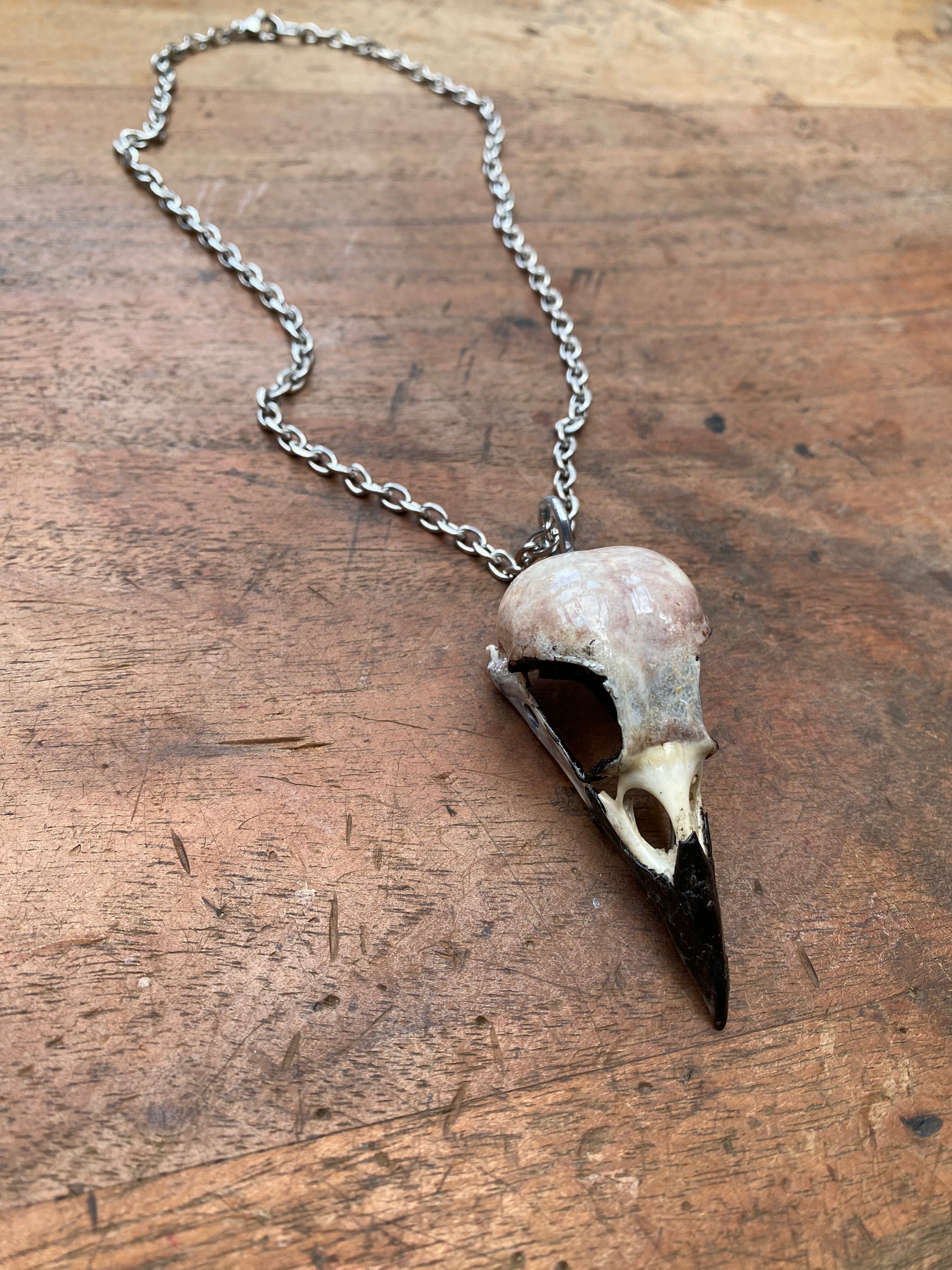 Crow Skull on Stainless Steel Chain Necklace