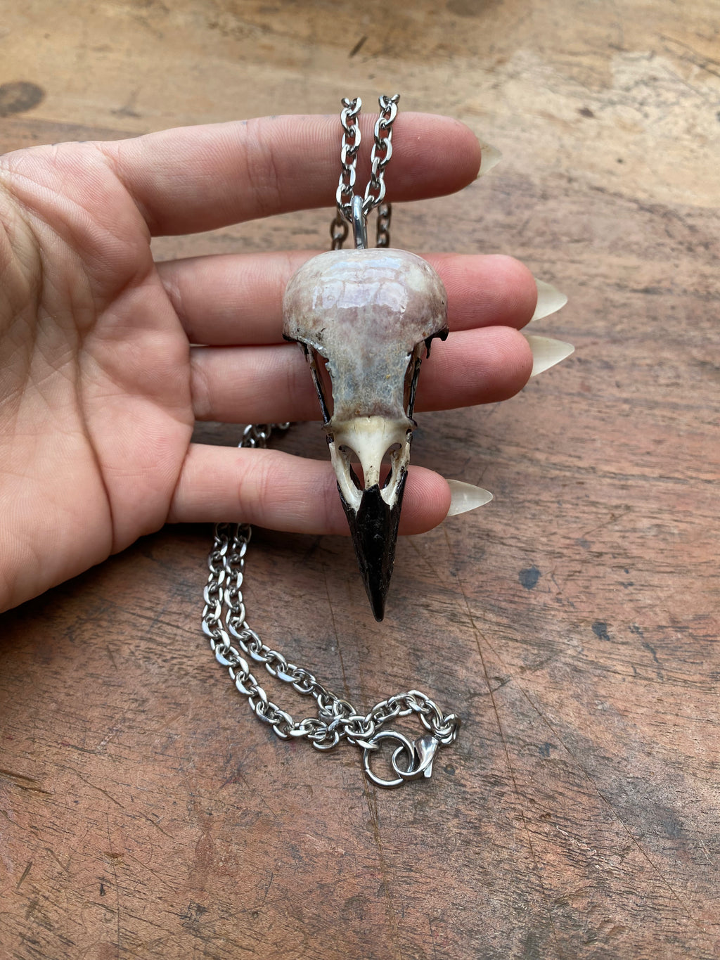 Crow Skull on Stainless Steel Chain Necklace