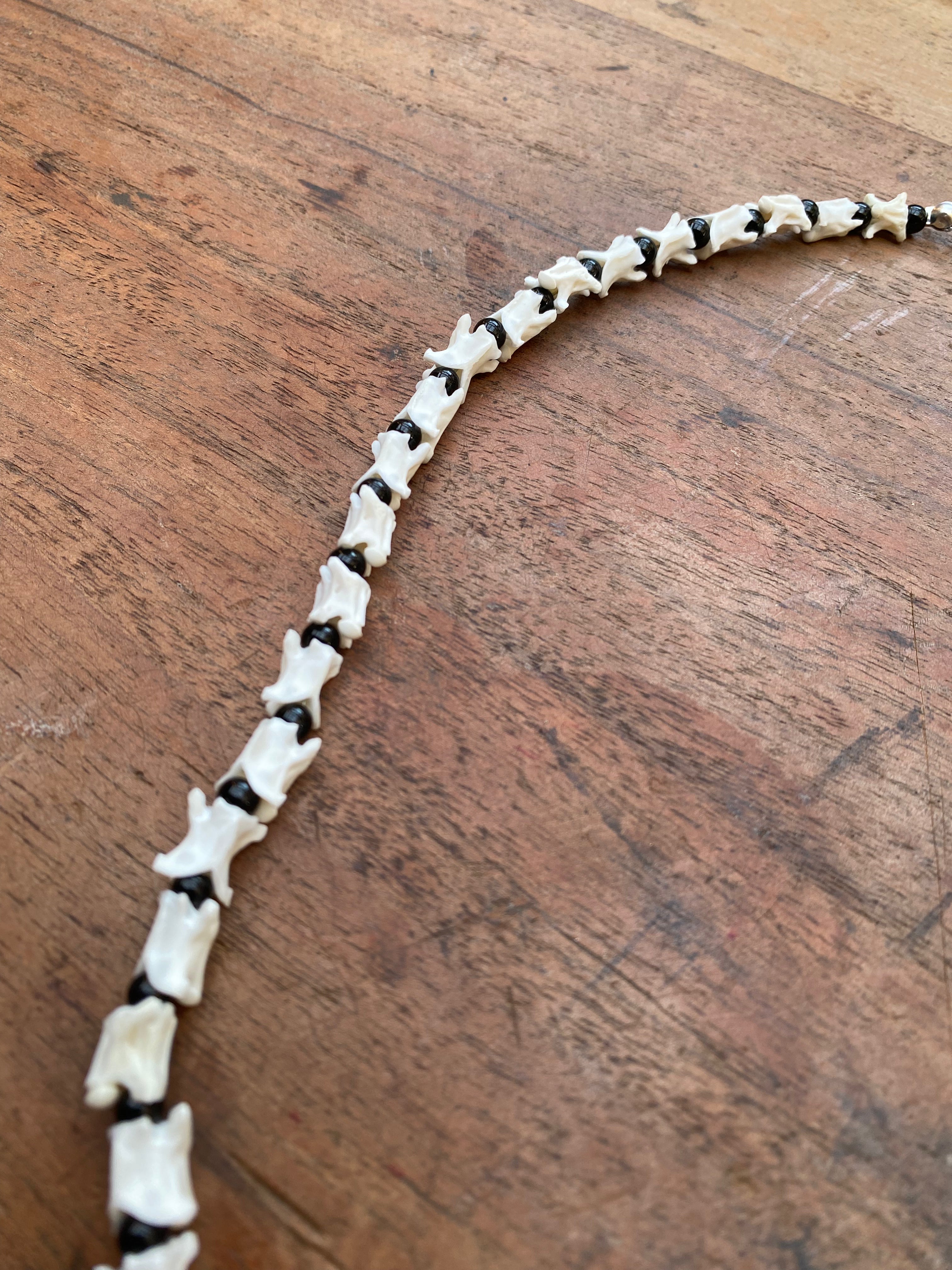 Snake Vertebrae and Black Beads Necklace