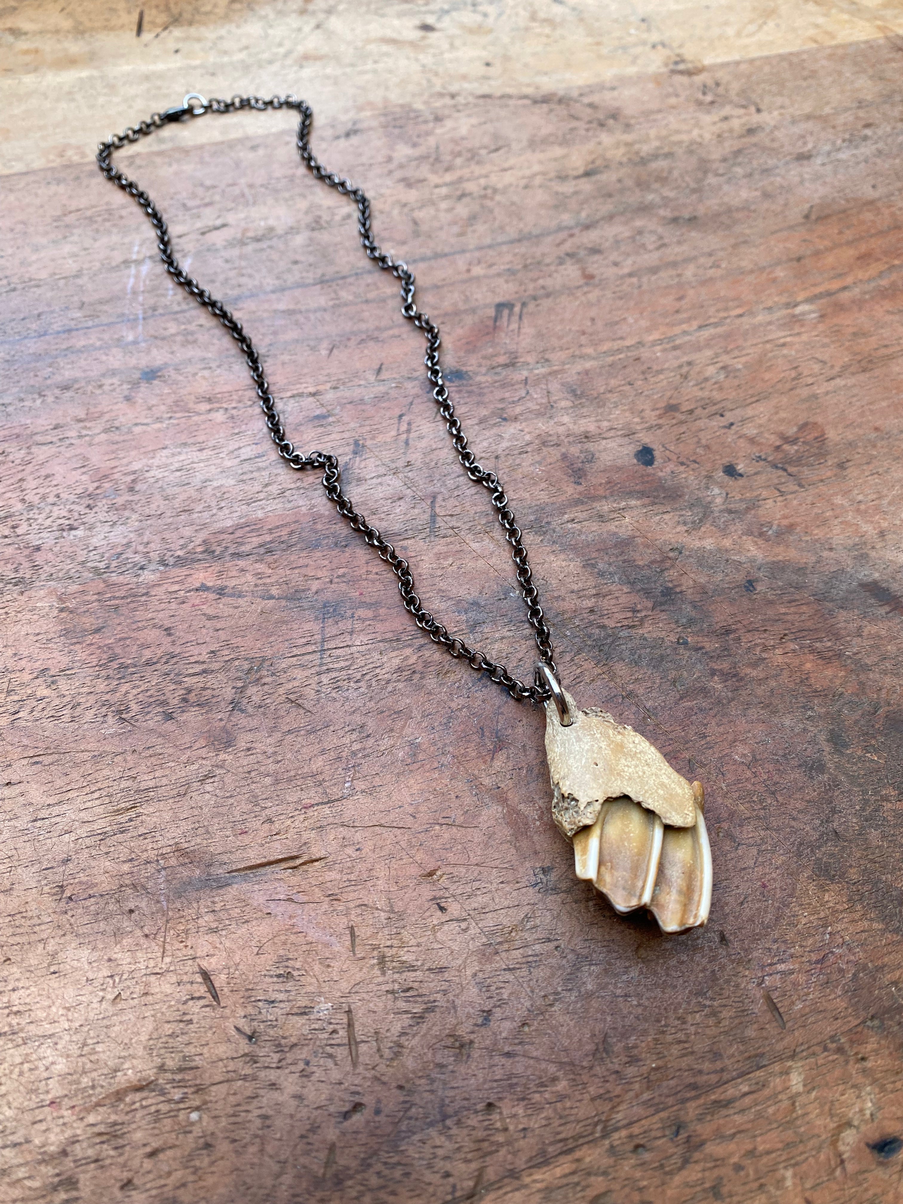 Mudlarked Jaw Fragment on a Chain Necklace