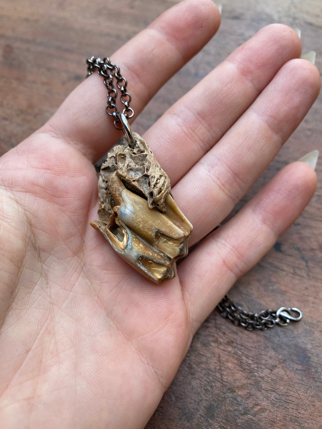 Mudlarked Jaw Fragment on a Chain Necklace