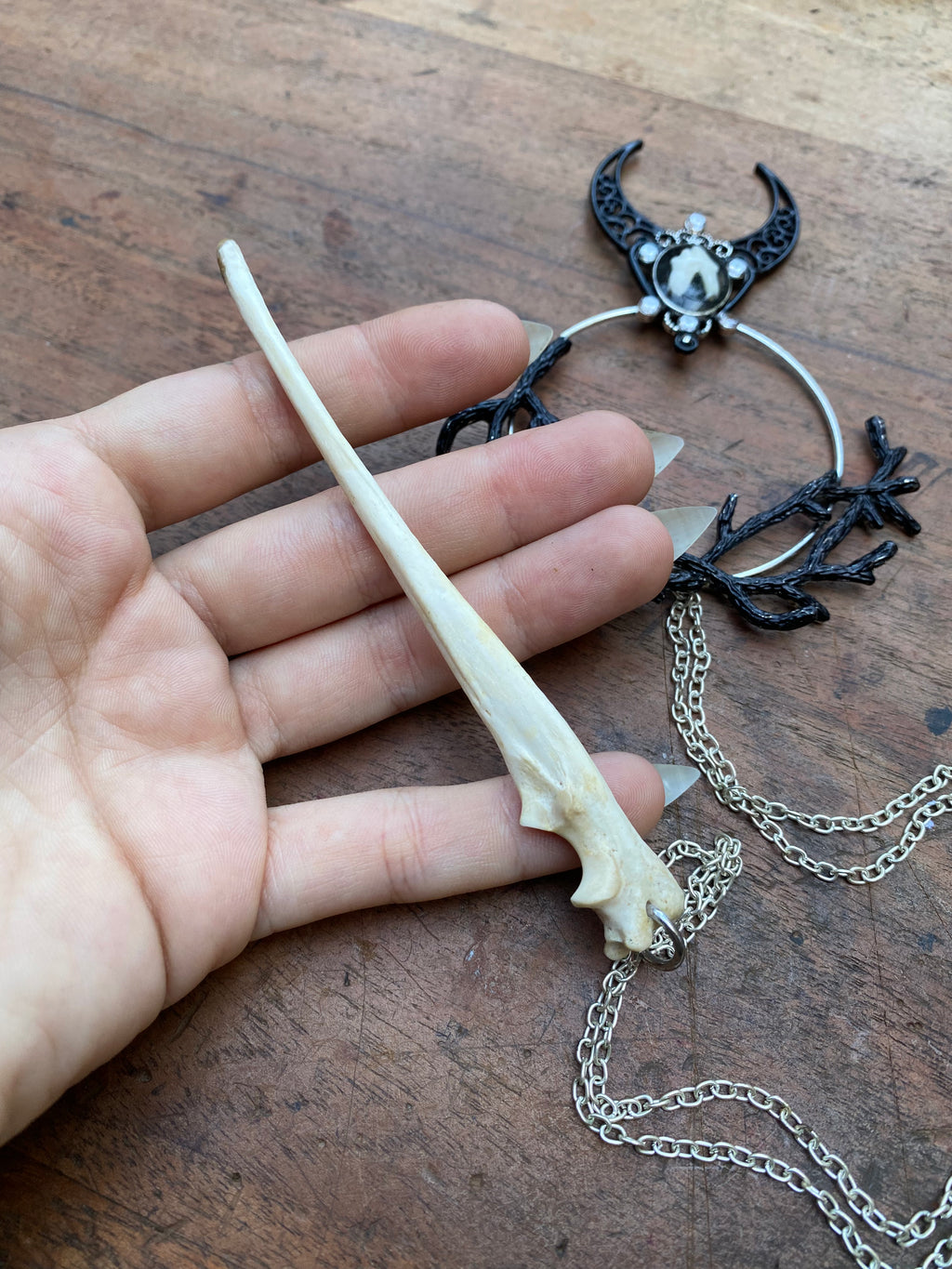 Deer Tooth and Bone Hair Pin