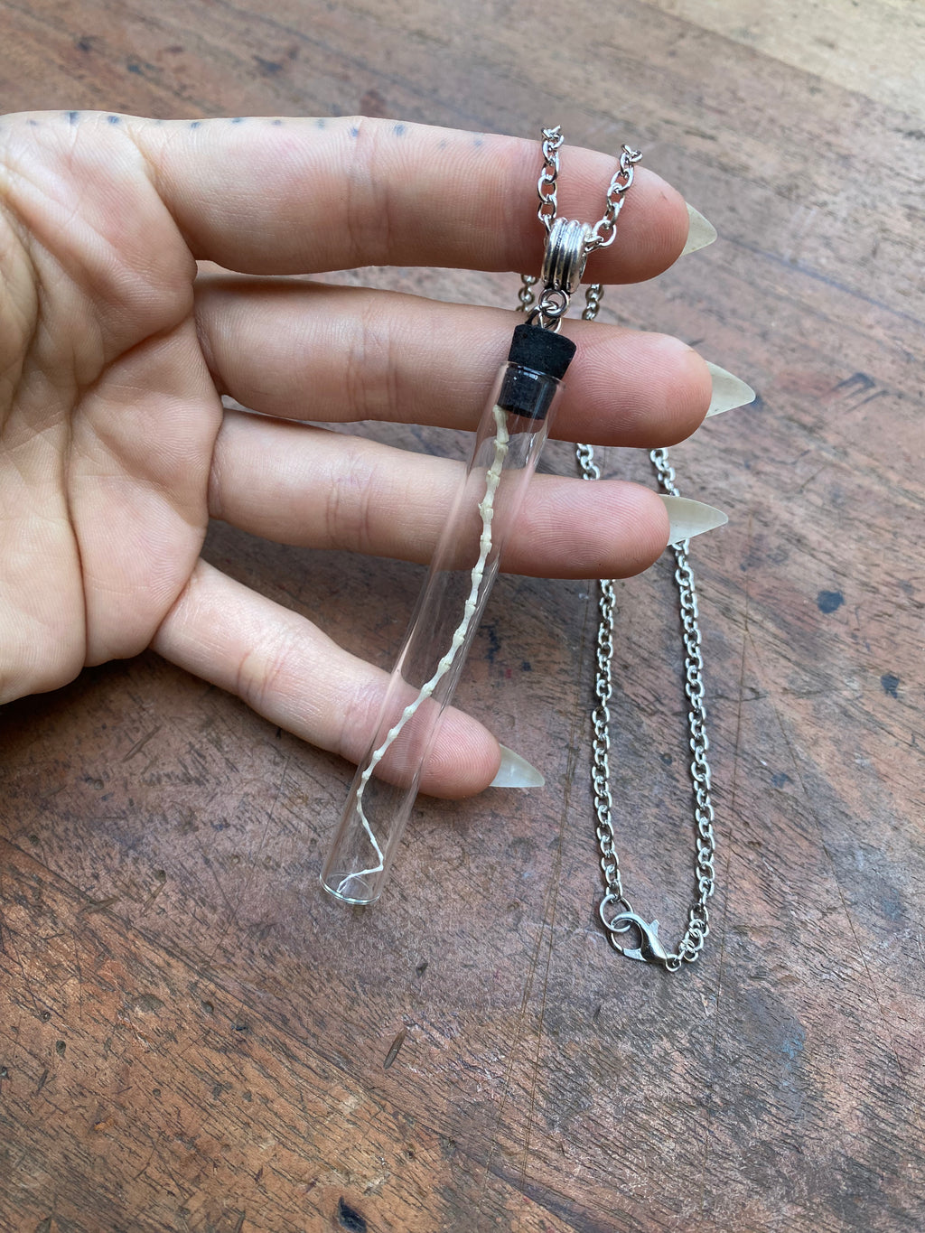 Mouse Tail in a Glass Vial Necklace