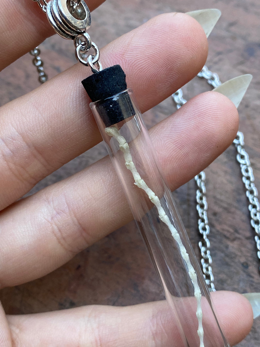 Mouse Tail in a Glass Vial Necklace