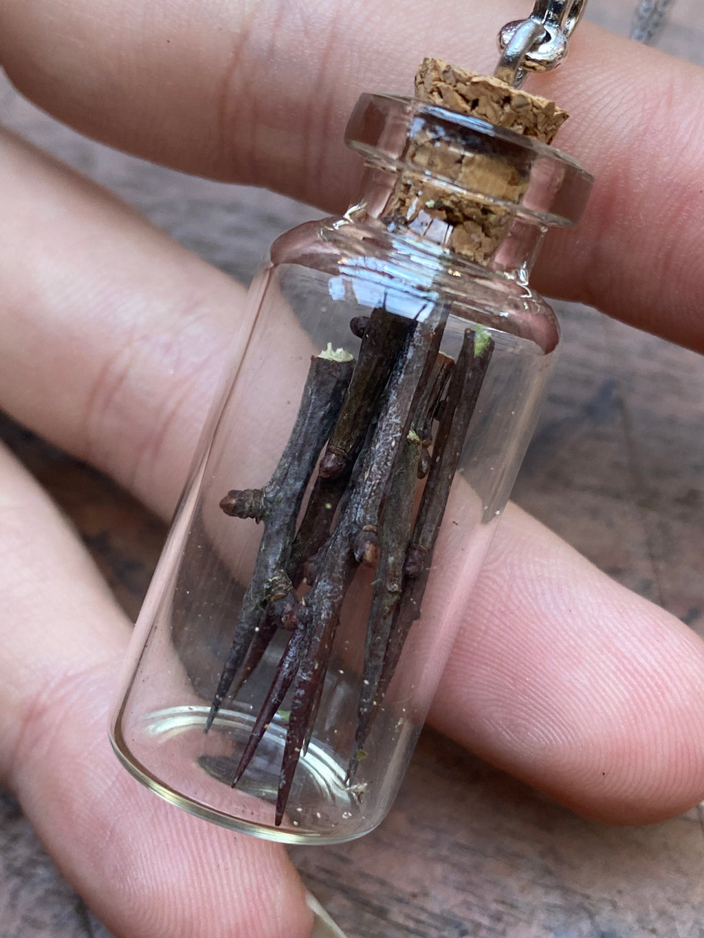 Blackthorn in Glass Vial Necklace