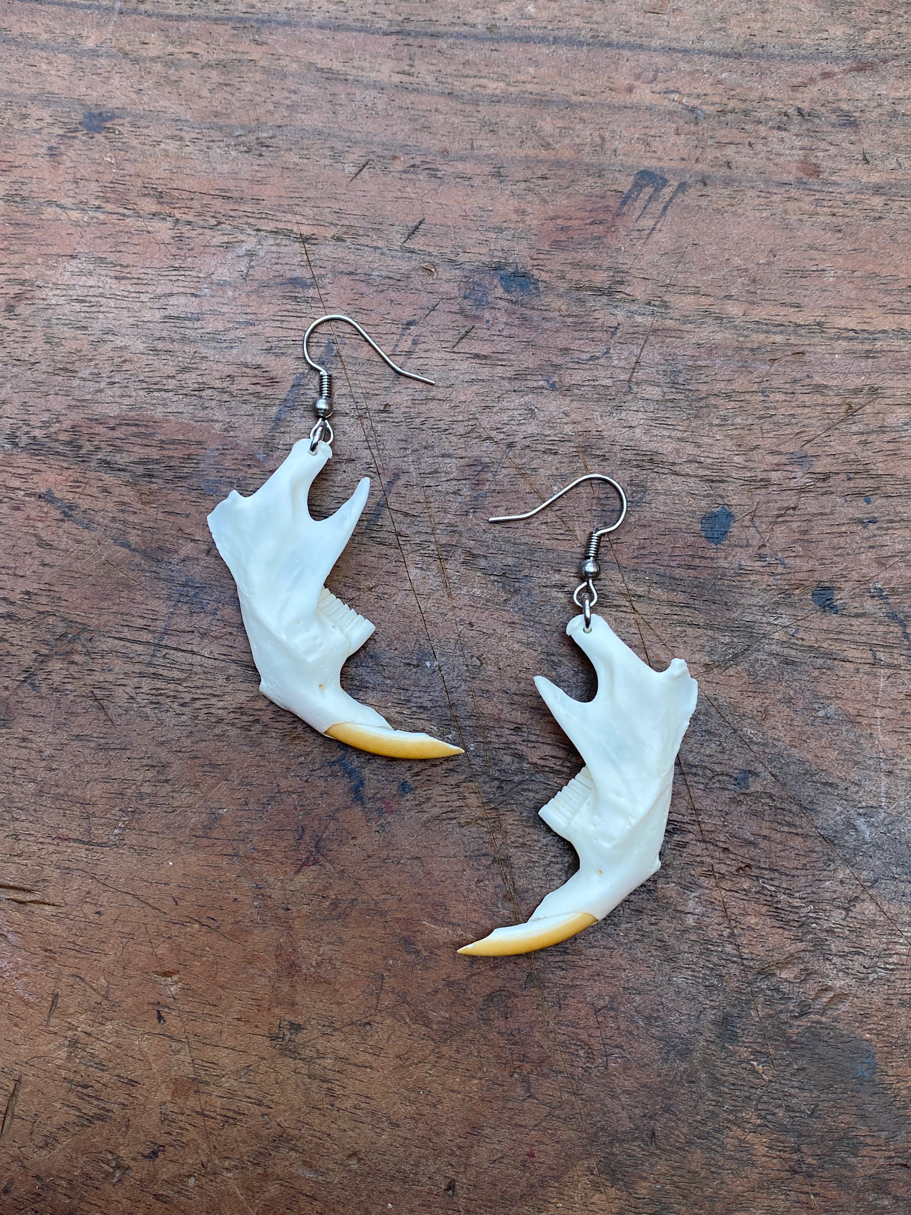 Beaver Rat Jaws Earrings