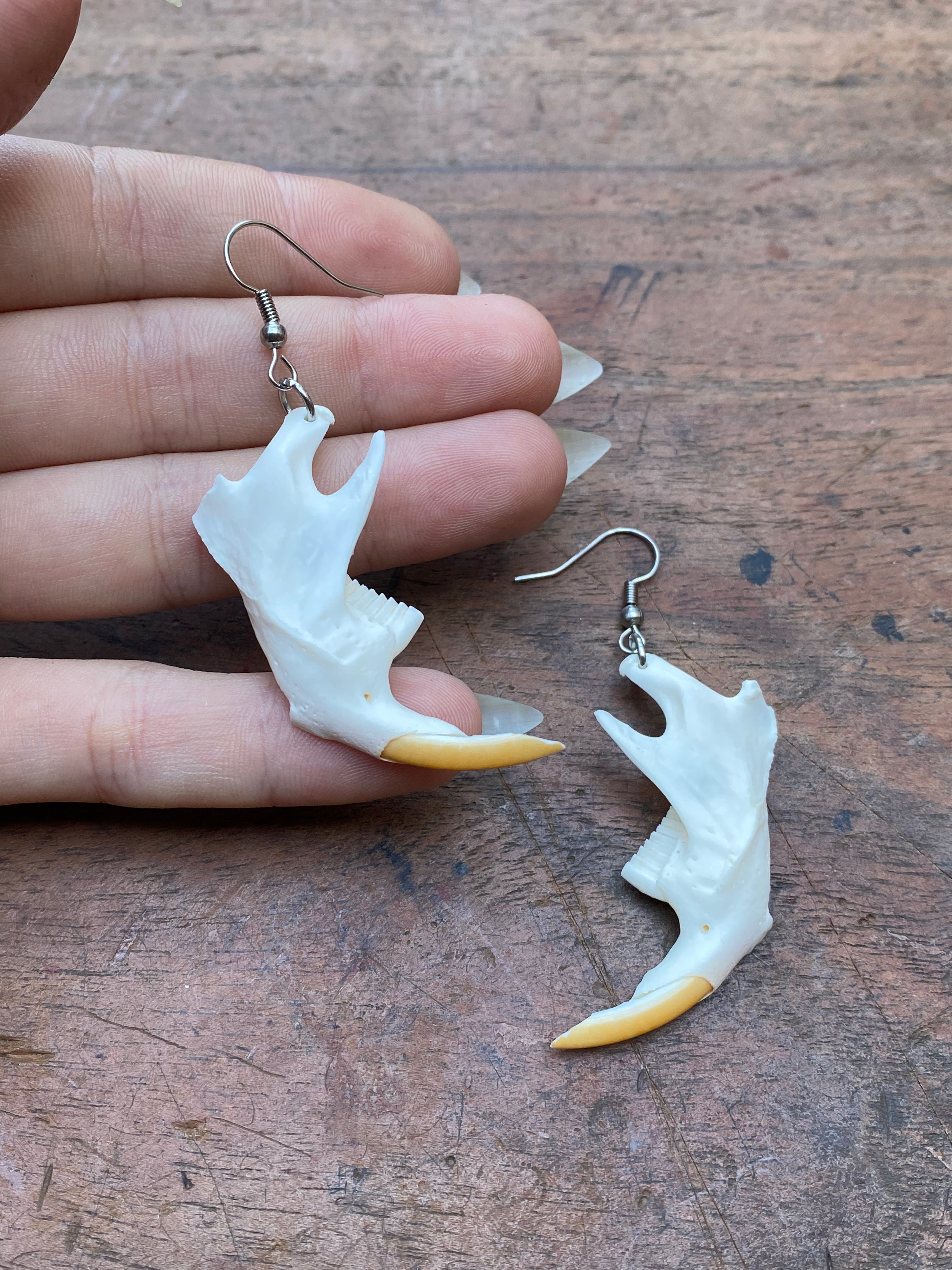 Beaver Rat Jaws Earrings