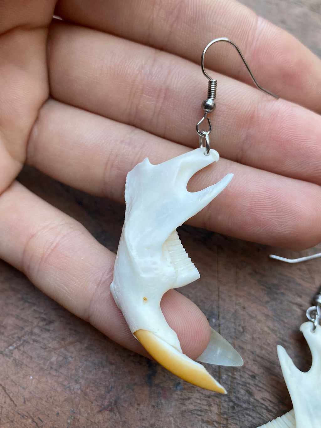 Beaver Rat Jaws Earrings