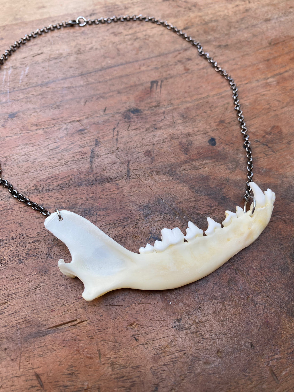 Fox Jaw on Gunmetal Chain Necklace