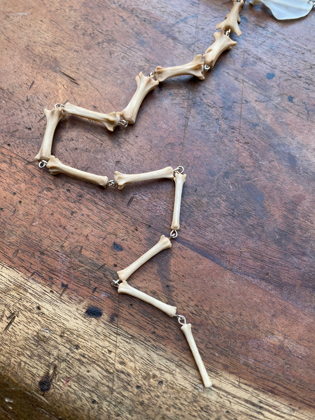 Squirrel and Fox Tail Bones Necklace