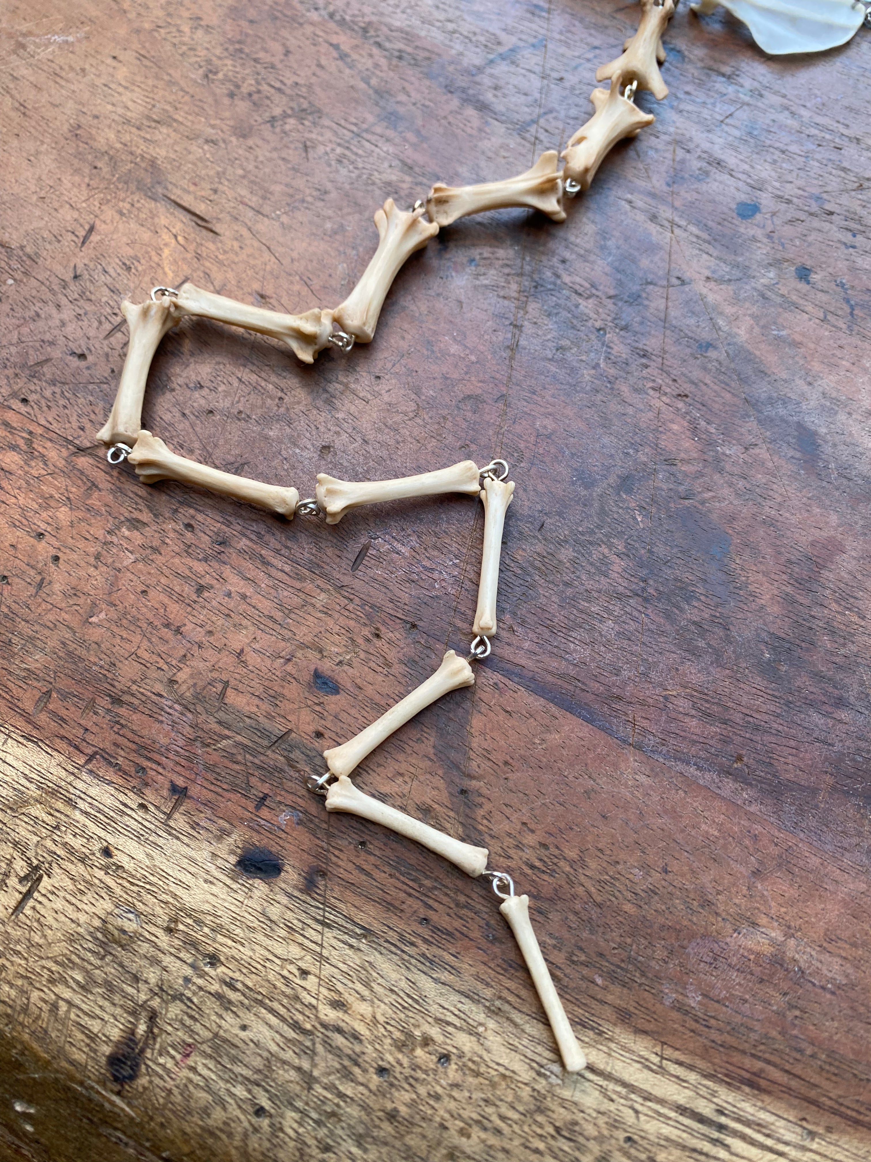 Squirrel and Fox Tail Bones Necklace