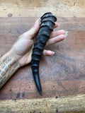 Antelope Horn