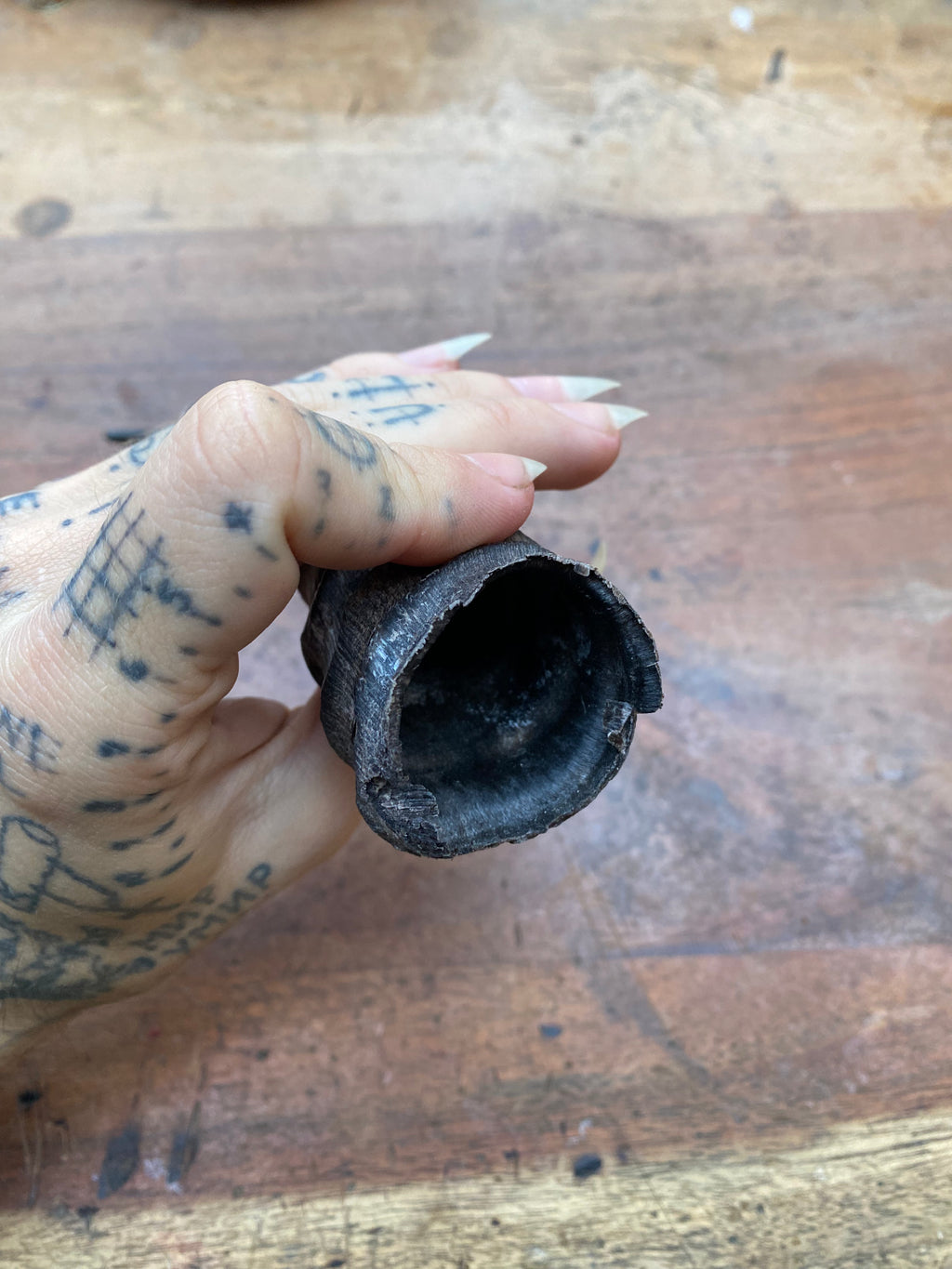 Antelope Horn