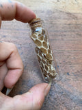 Snake Skin in Glass Vial