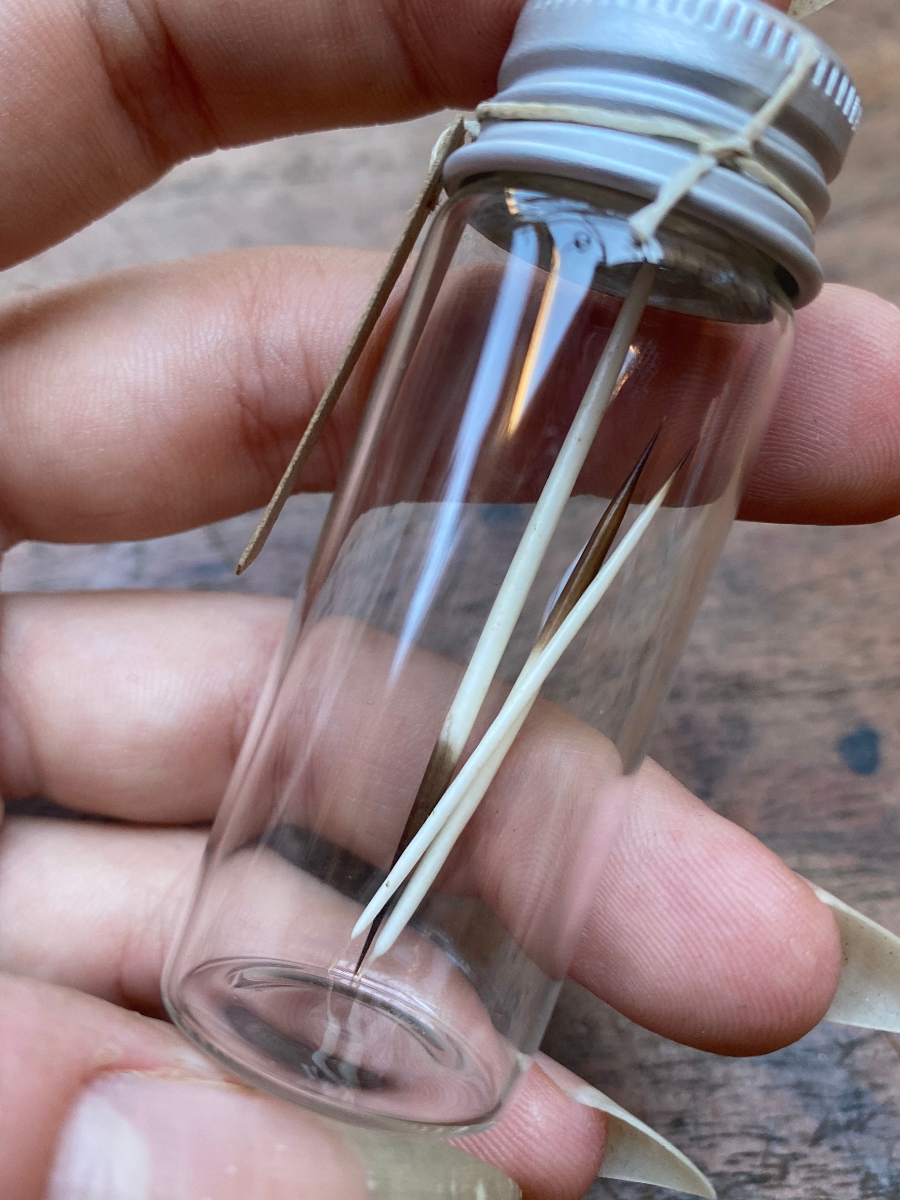 Porcupine Quills in Glass Vial