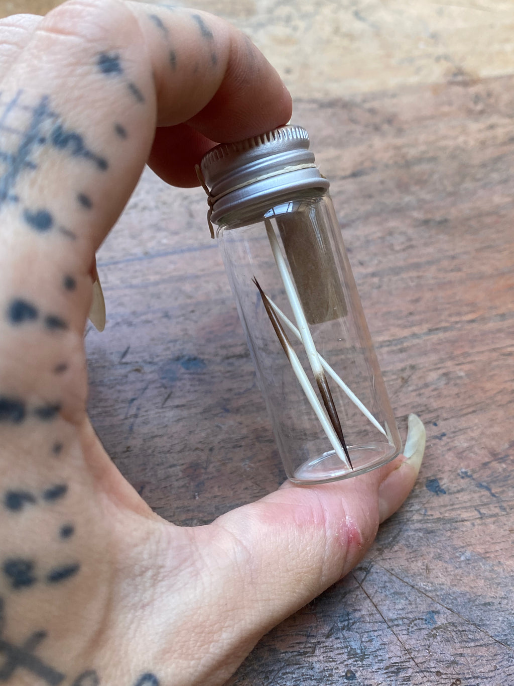 Porcupine Quills in Glass Vial